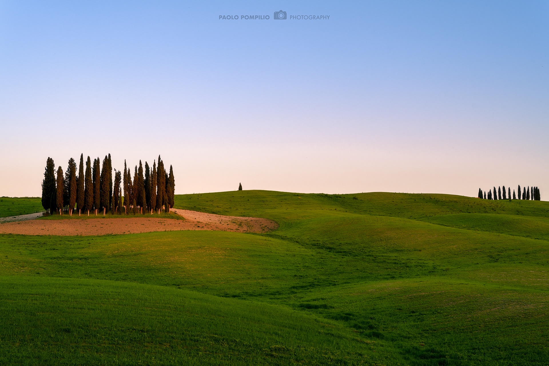 Cipressi di San Quirico d'Orcia