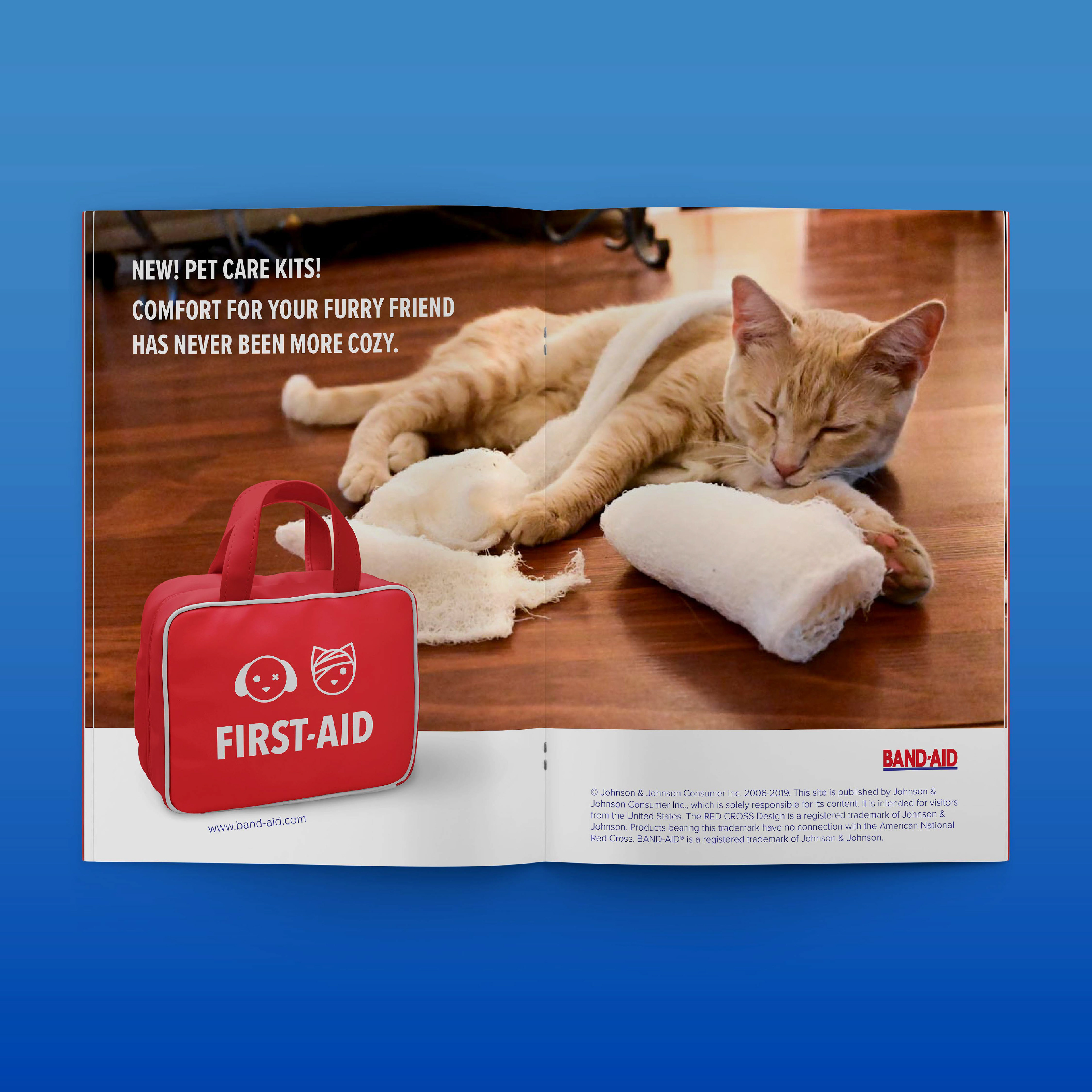 Pet Care Kits Magazine Ad: Cat
