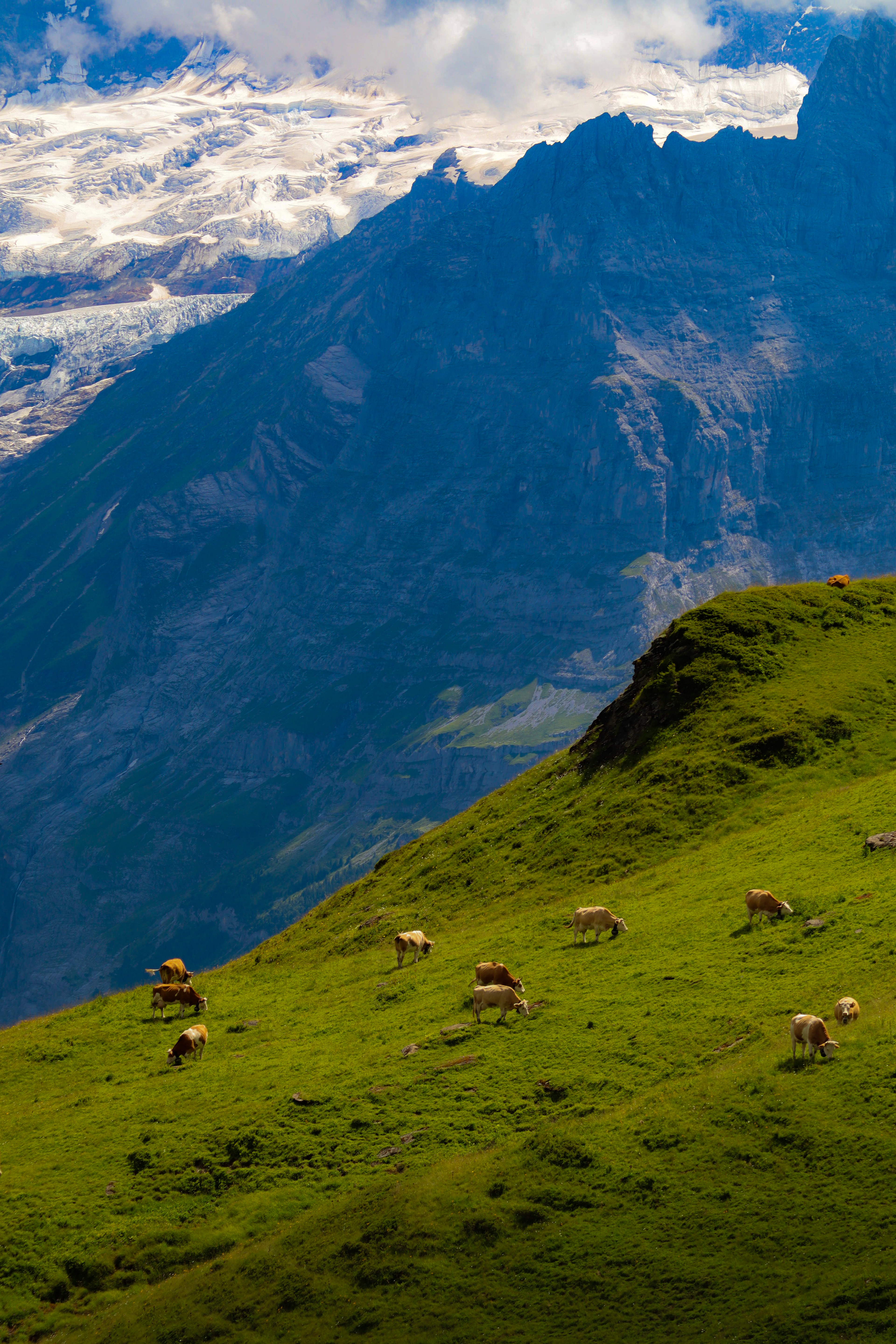 Switzerland