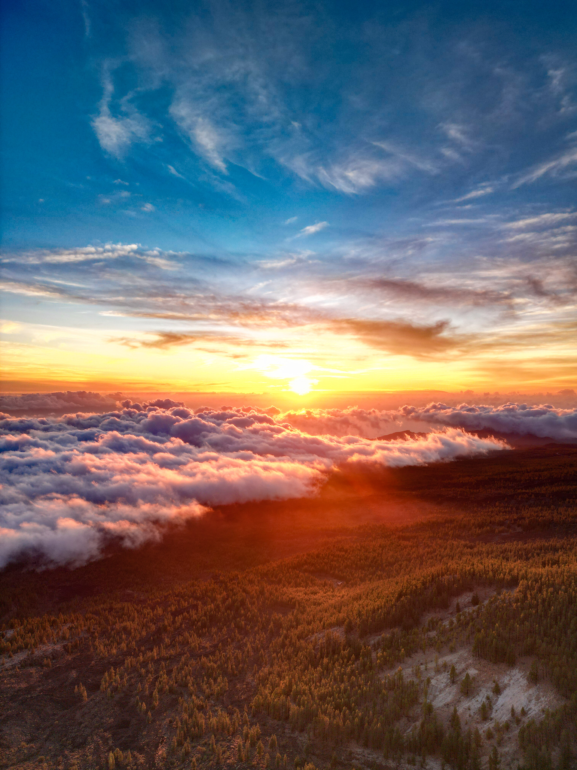 Tenerife
