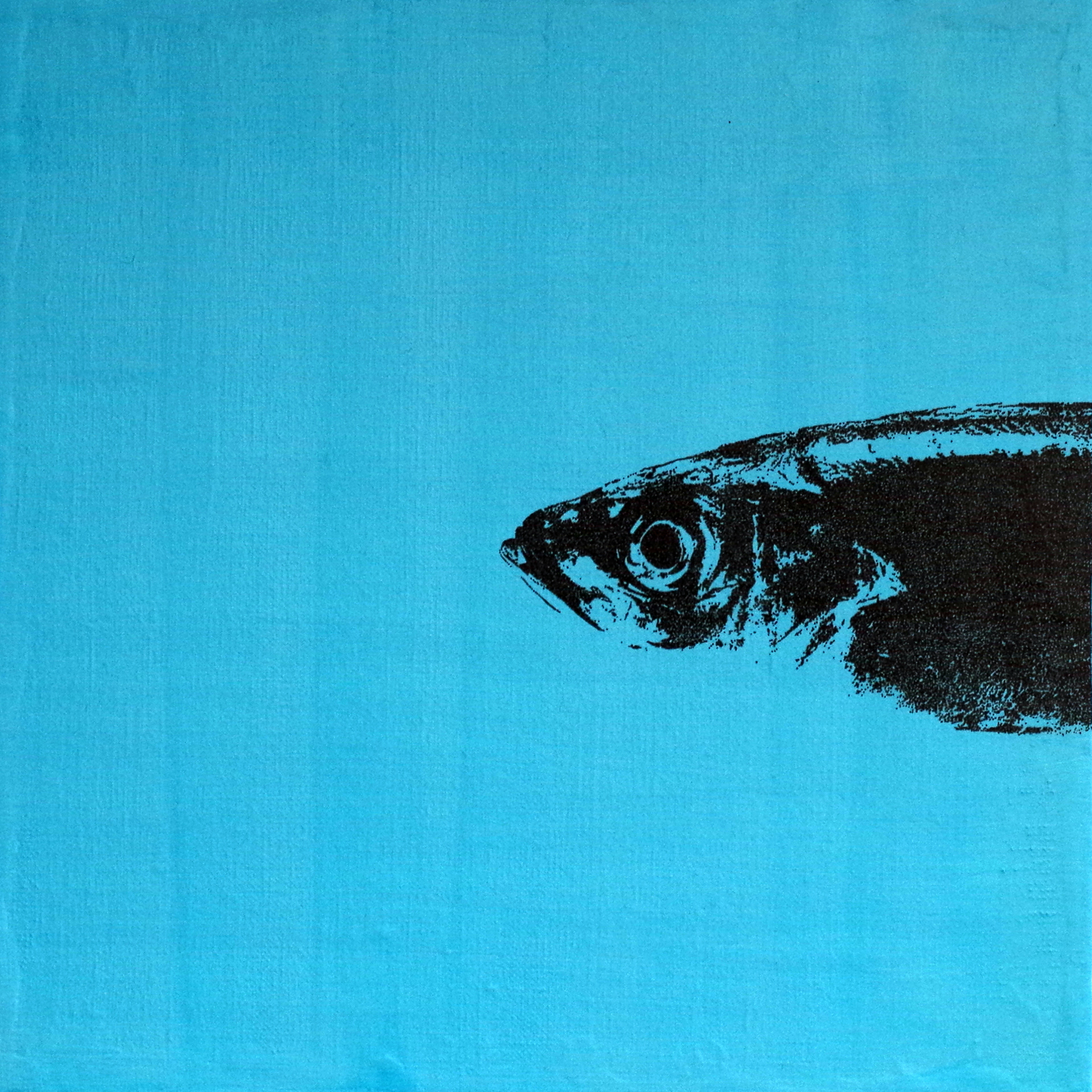 "Chiken or fish→fish"