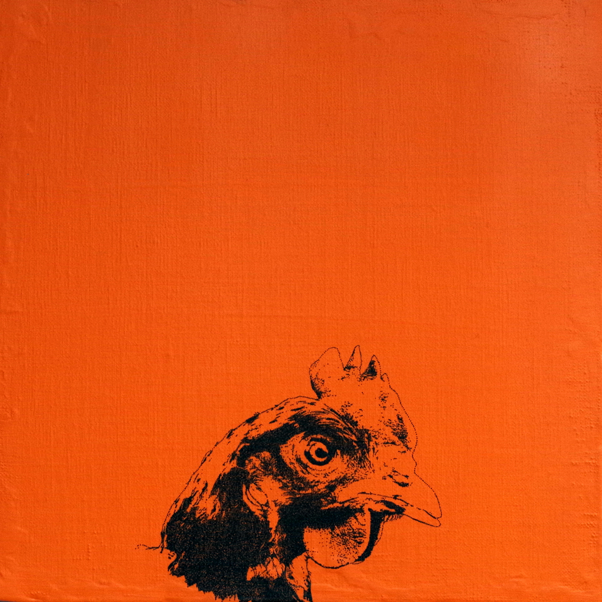 "Chiken or fish→chiken"