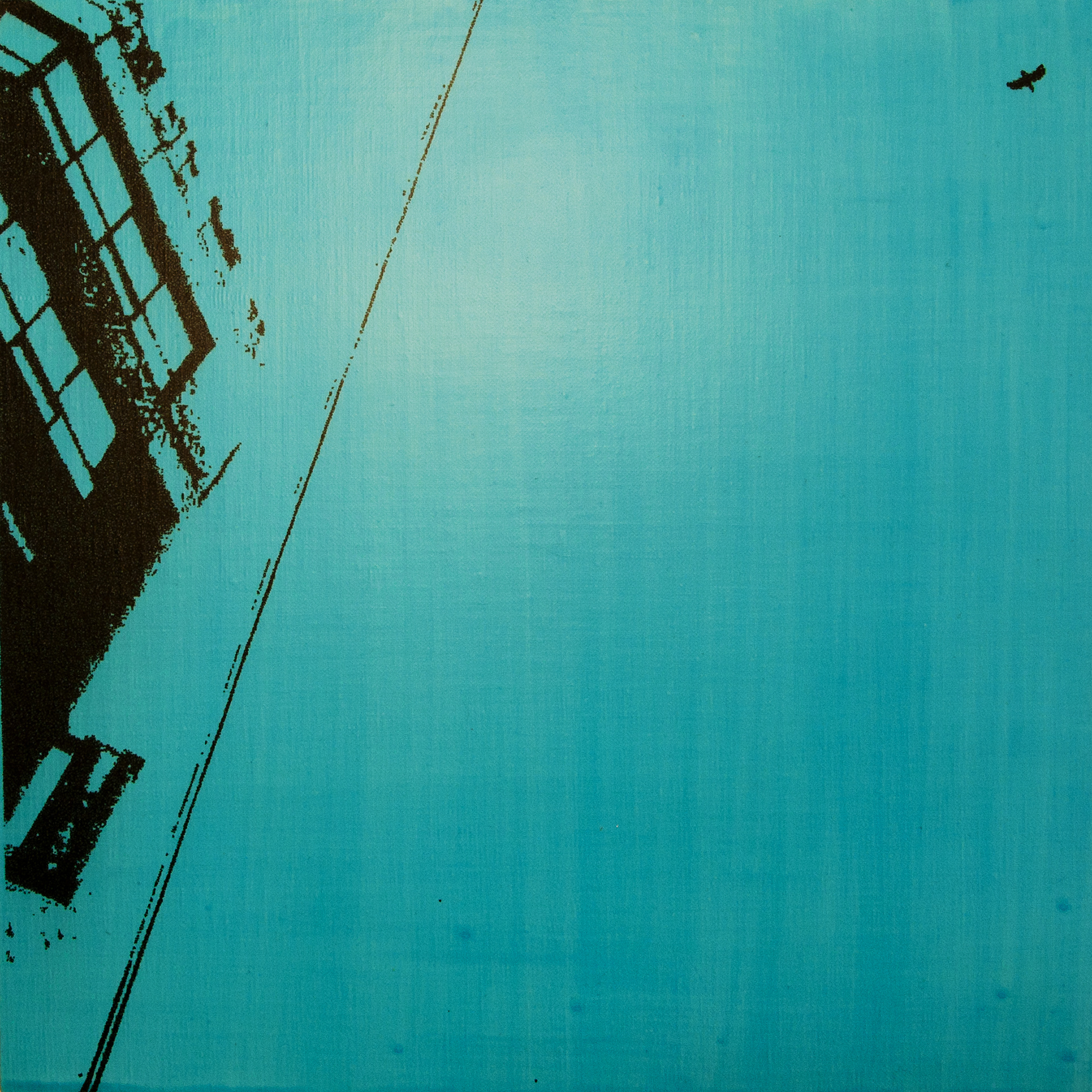 "Building,electric wire and bird"