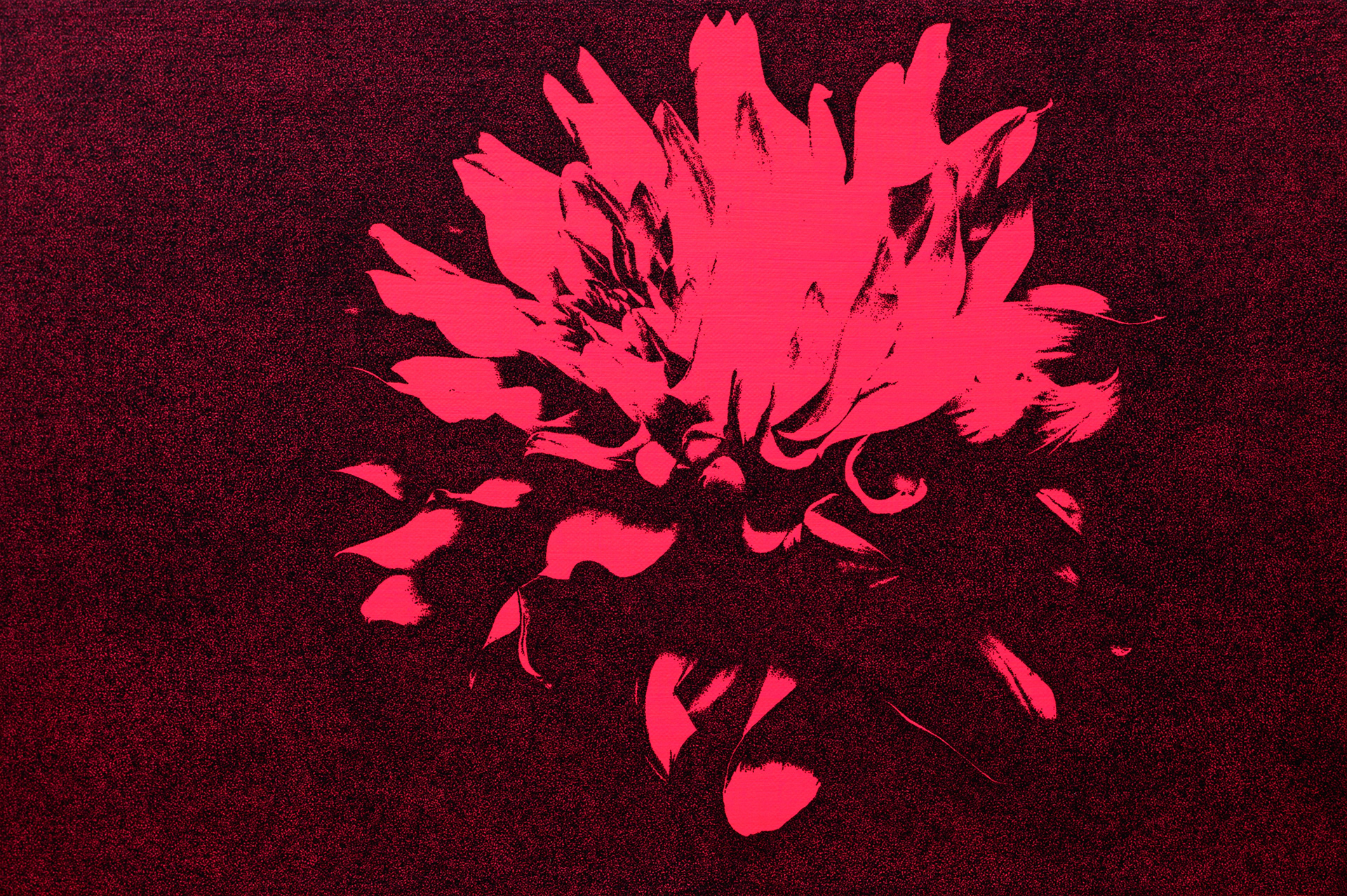 "Flower No.13 (dahlia ver.2)"