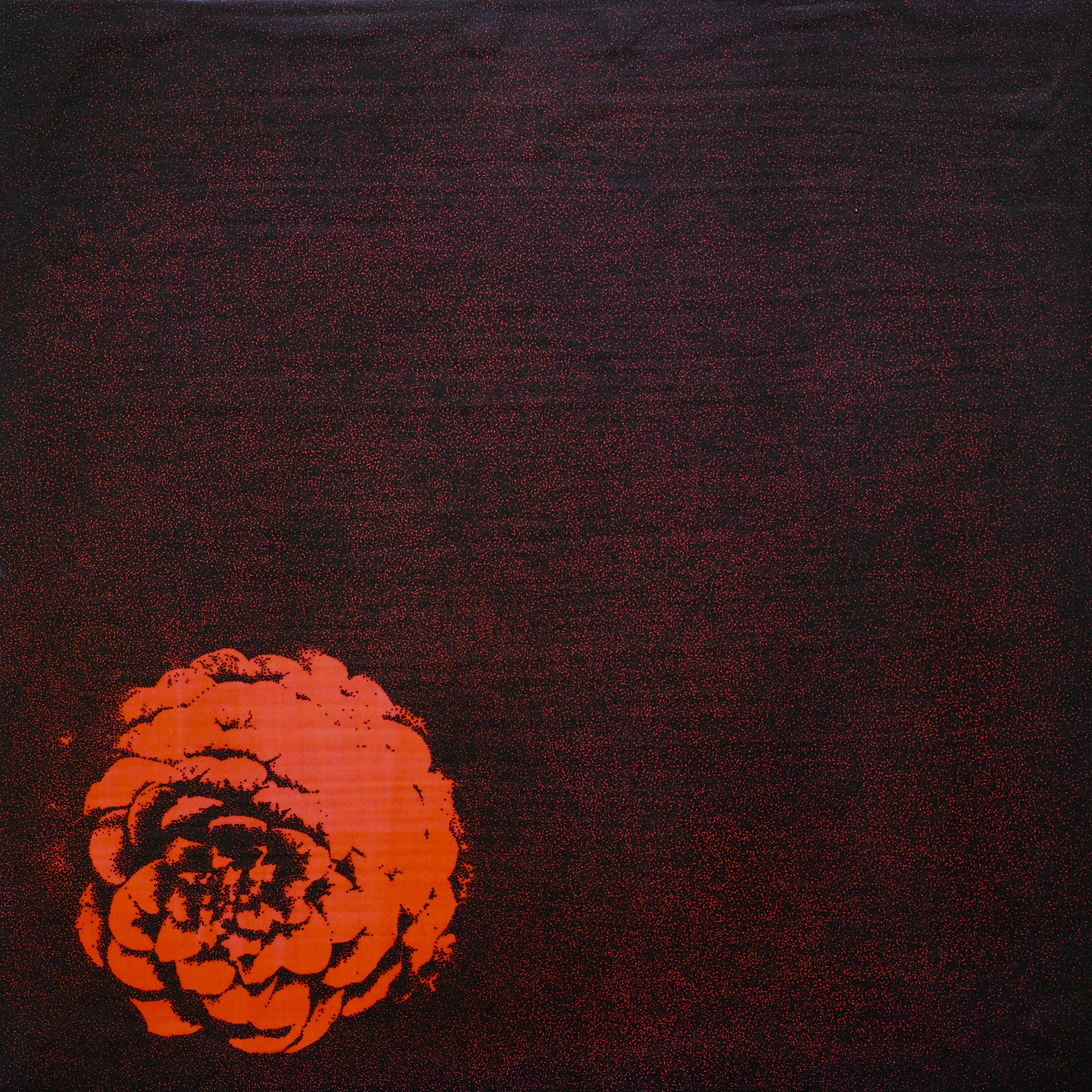 "Flower No.7(in the dark)"
