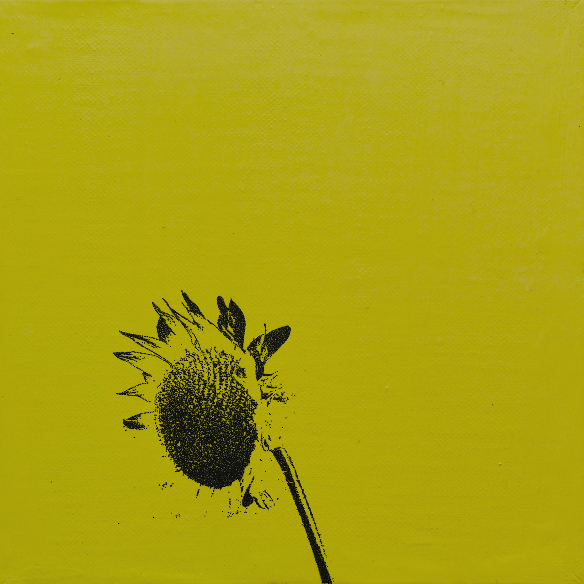 "Flower No.4(sunflower)"