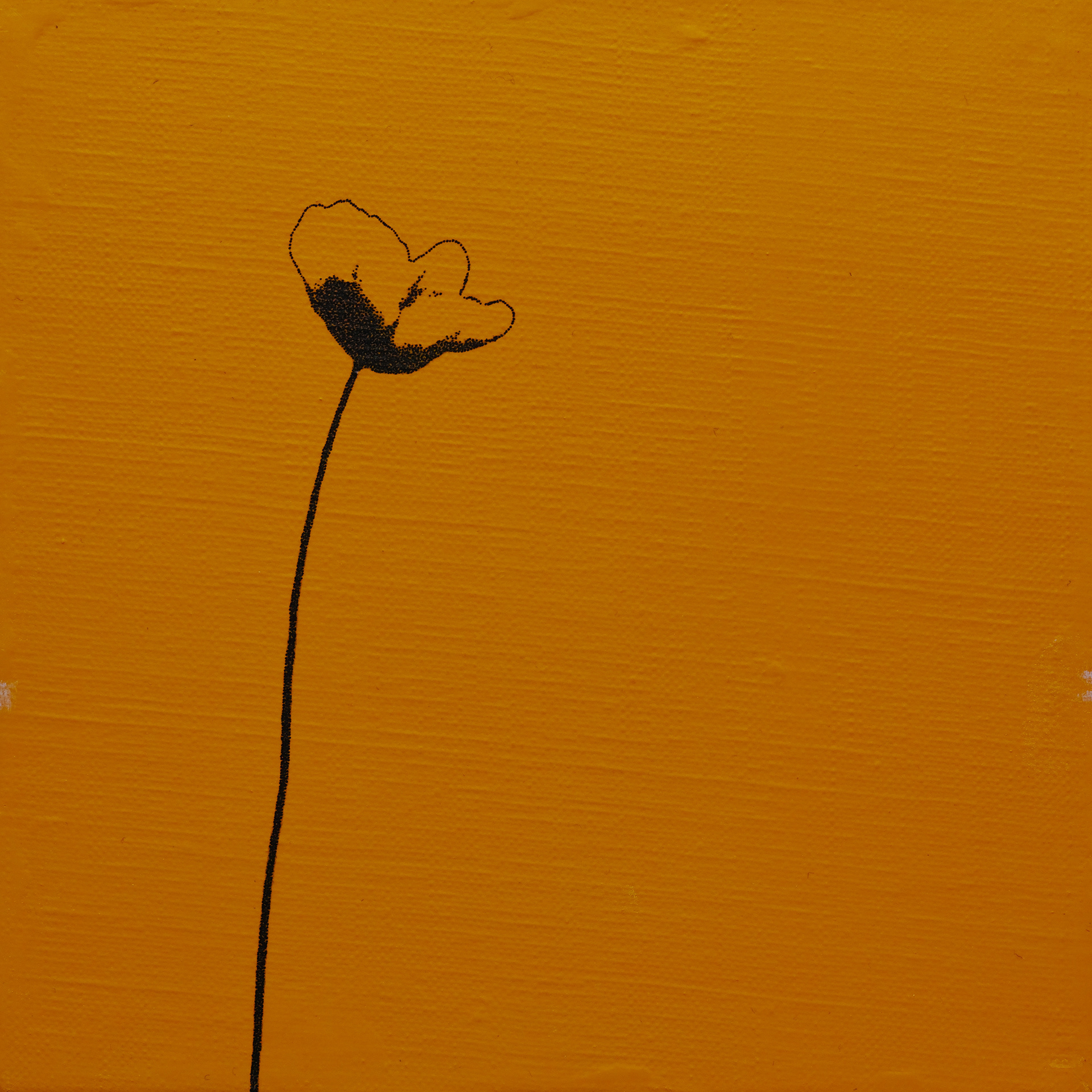 "Flower No.3(poppy)"