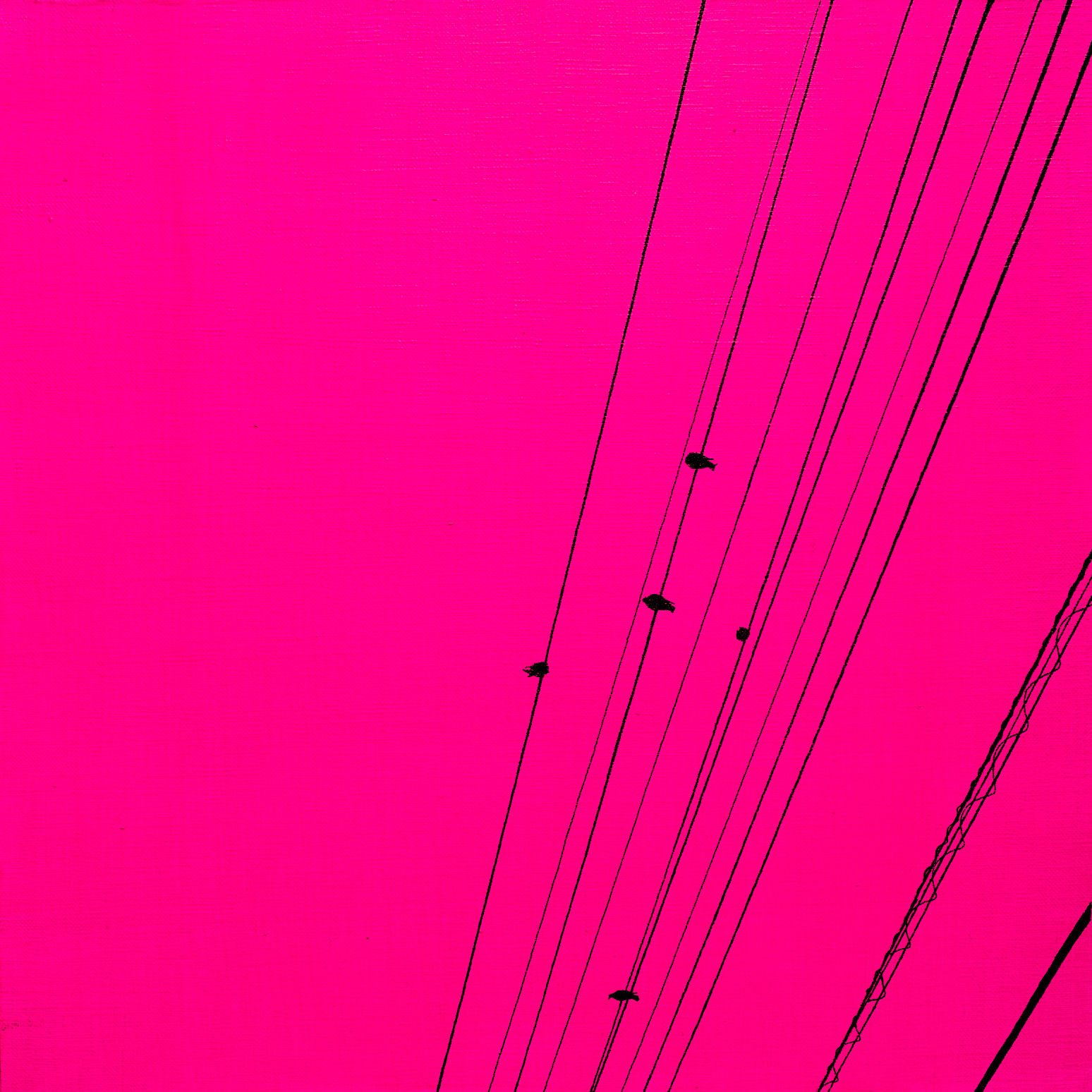 "Electric wire and birds"