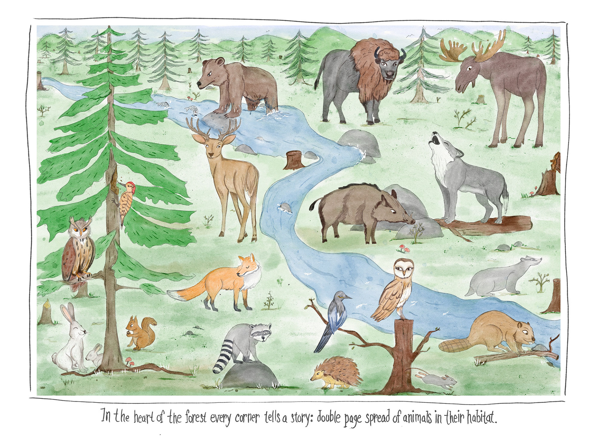 illustration textbook - internal animals - digital watercolor