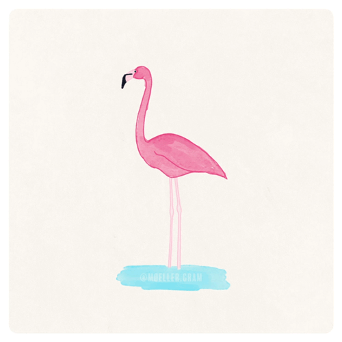 Greater Flamingo | Adobe Photoshop