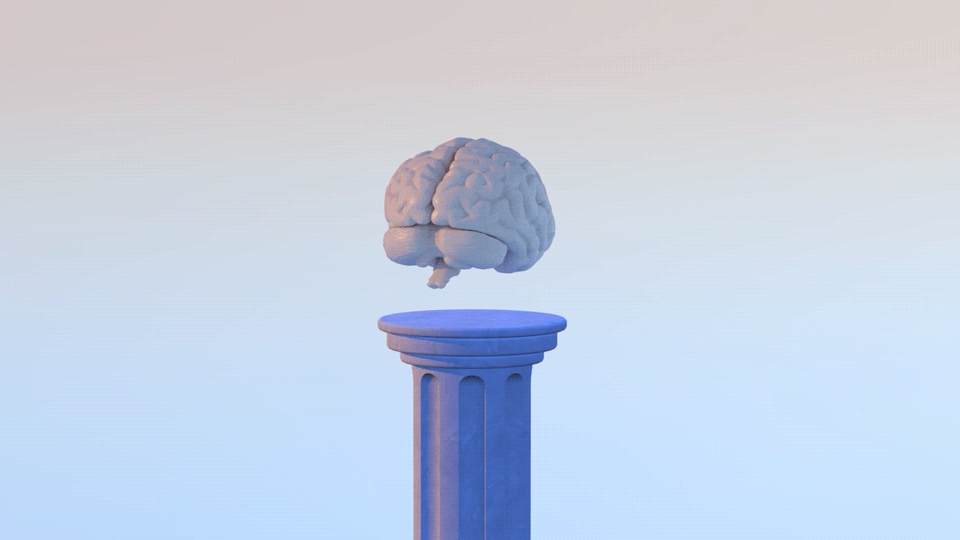 "Brain | Cinema 4D