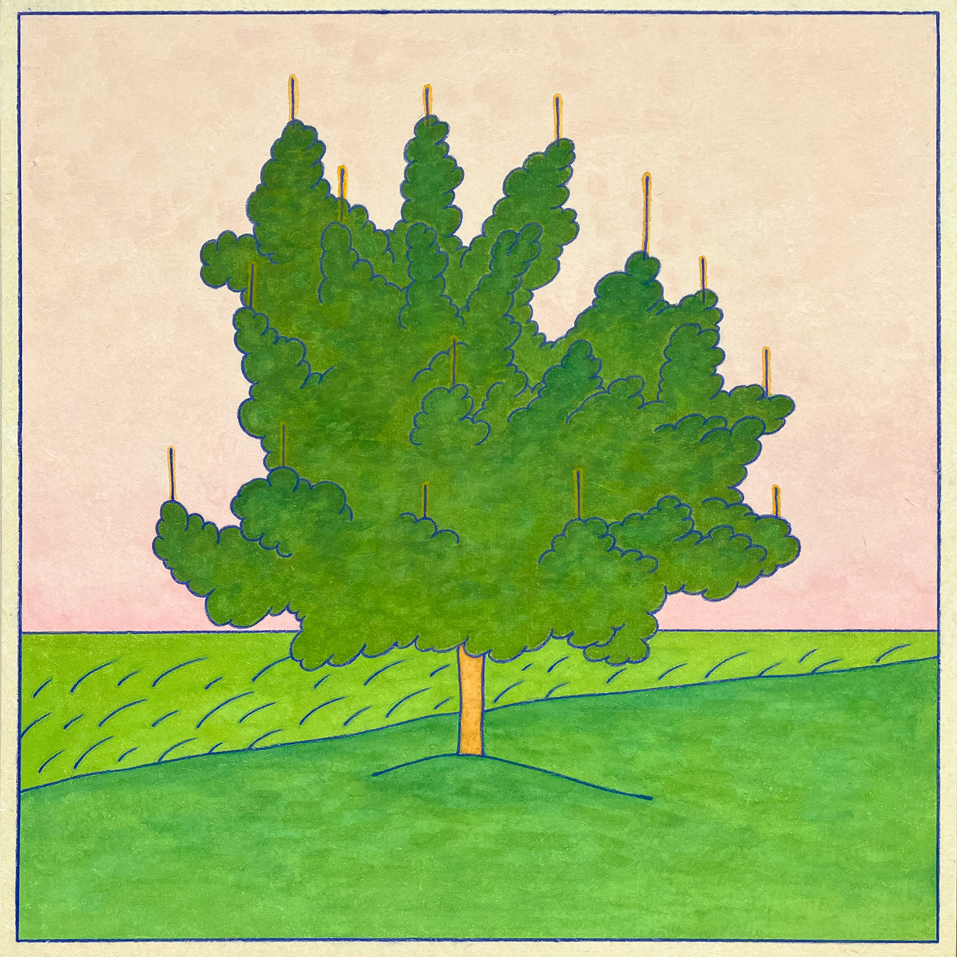 어떤 나무1, 50x100cm, color and blue pencil on korean paper, 2022