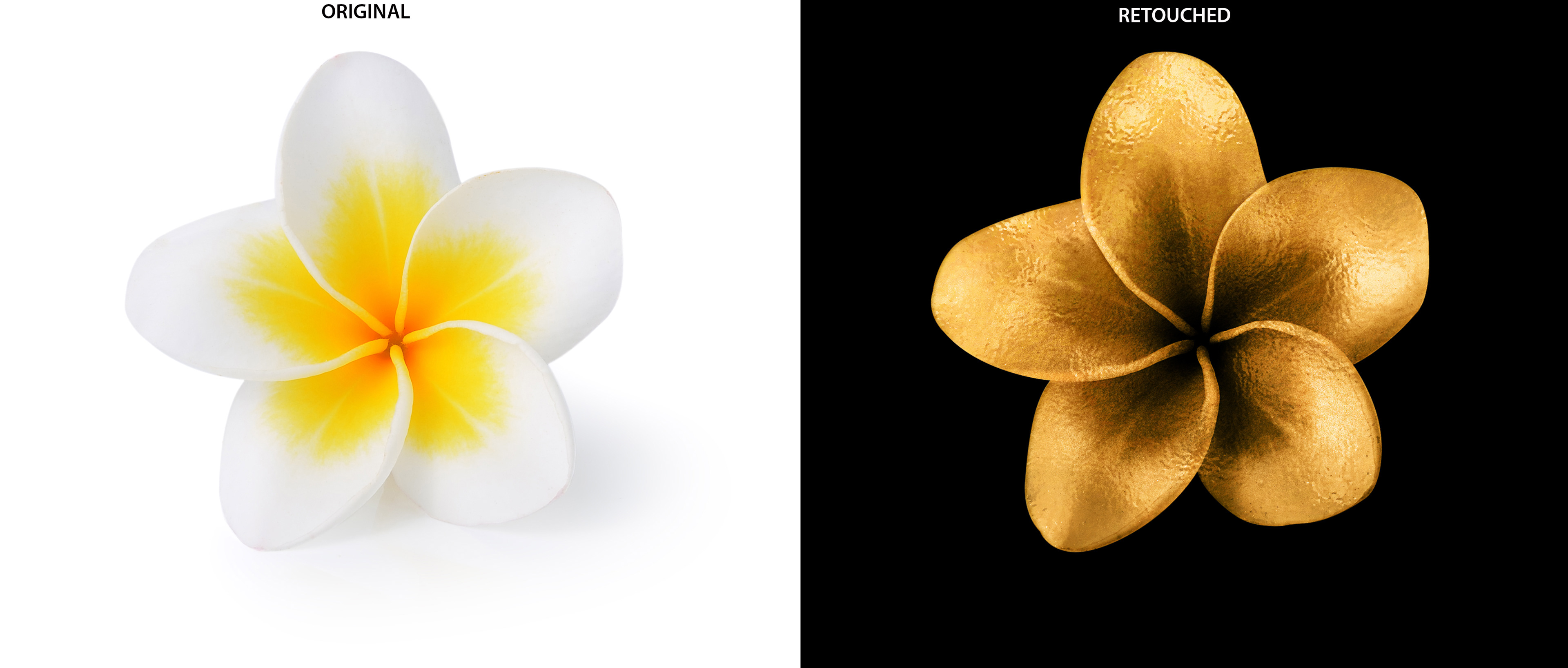 Agency: Mio Creative