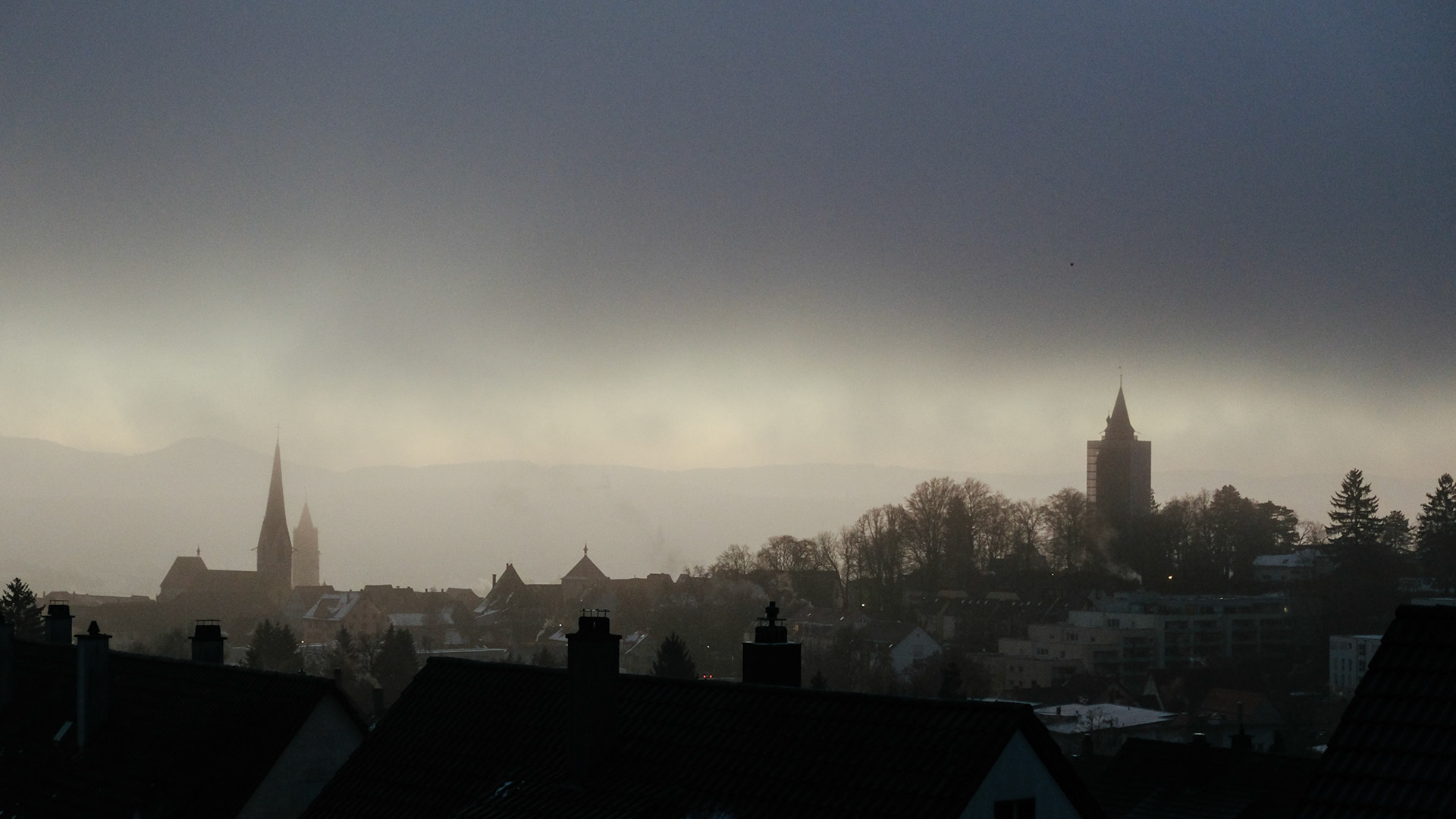 Week 4 - Rottweil