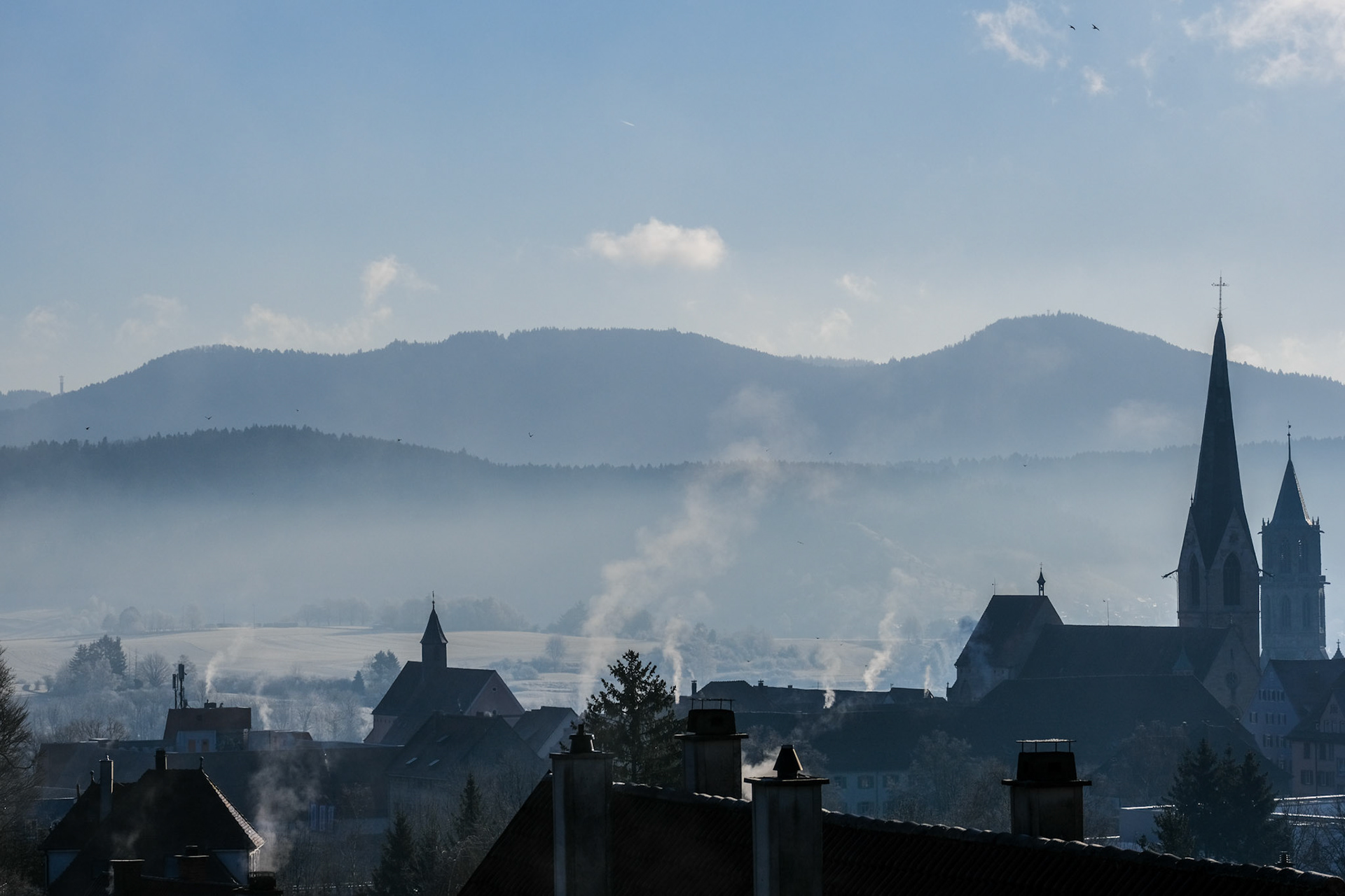 Week 6 - Rottweil