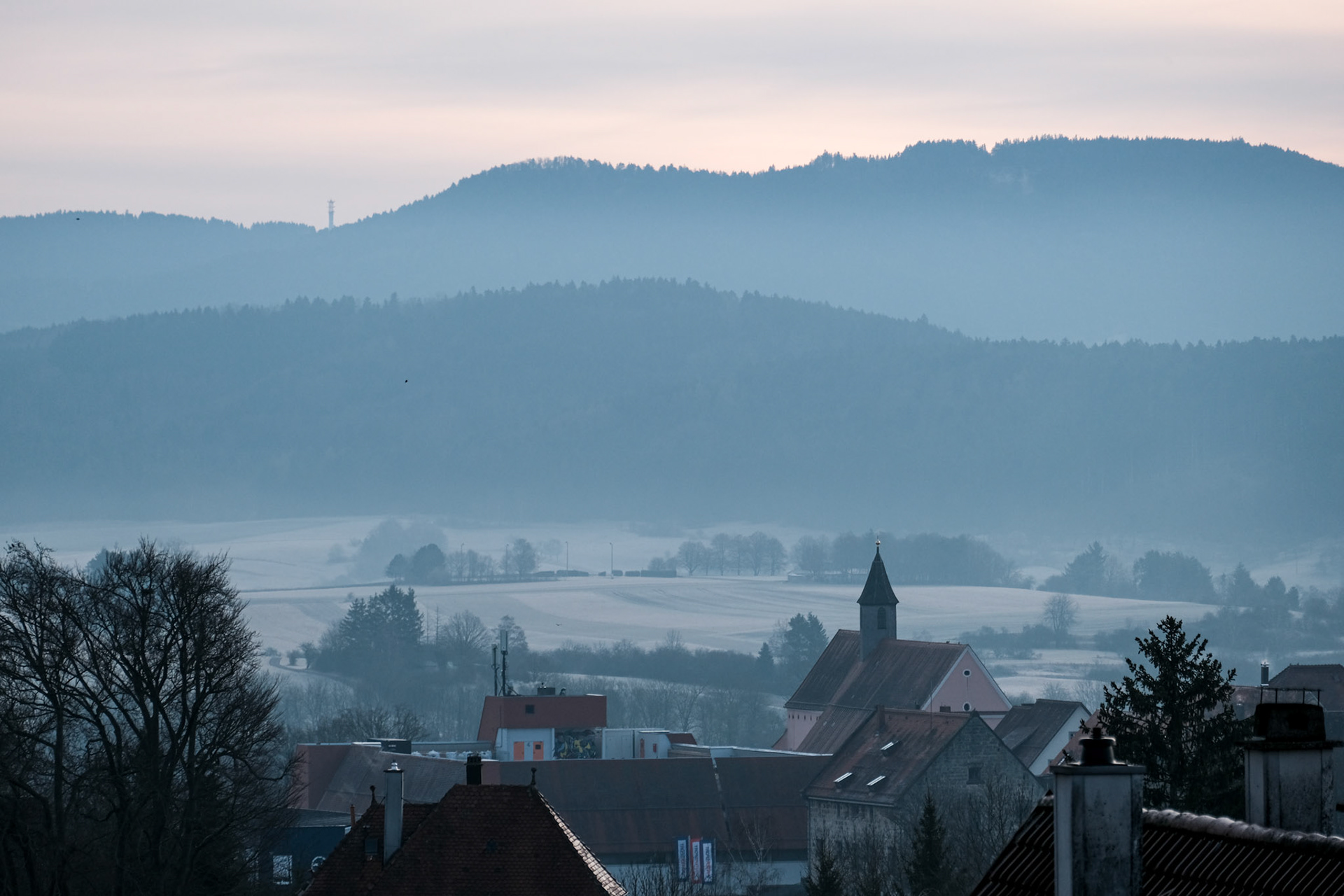 Week 8 - Rottweil