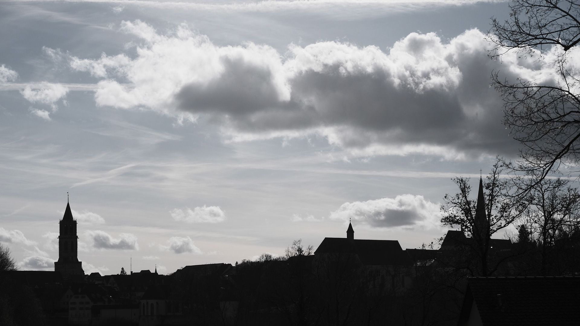 Week 7 - Rottweil