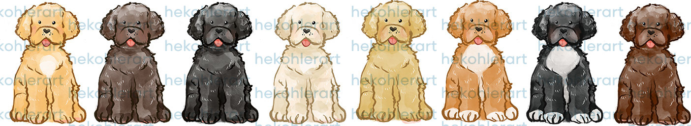 Mini Maltipoo/Cavapoo/Cockapoo/Goldendoodle Sitting