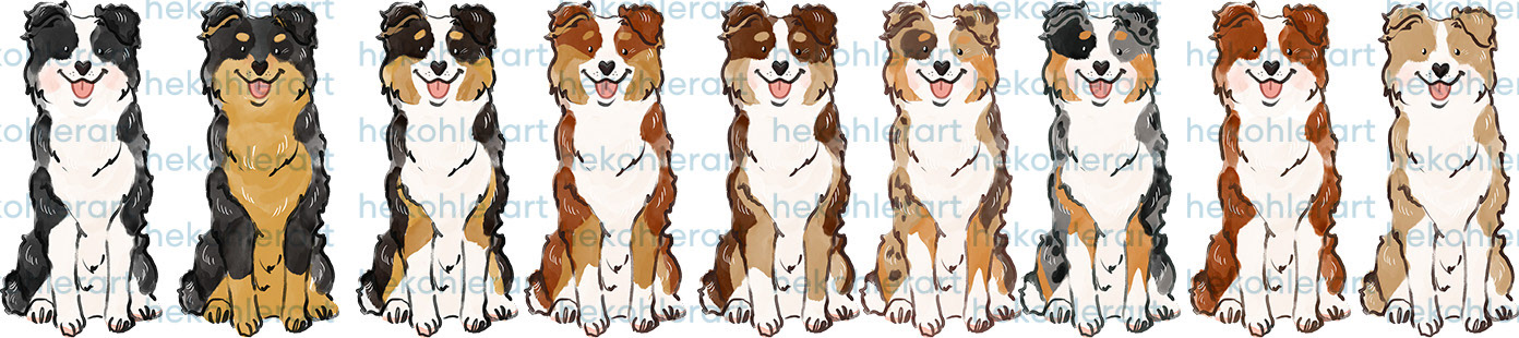 Australian Shepherds