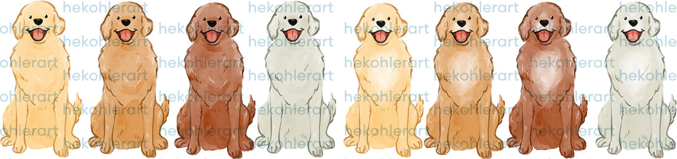 Golden Retrievers