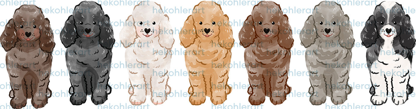 Mini Poodles