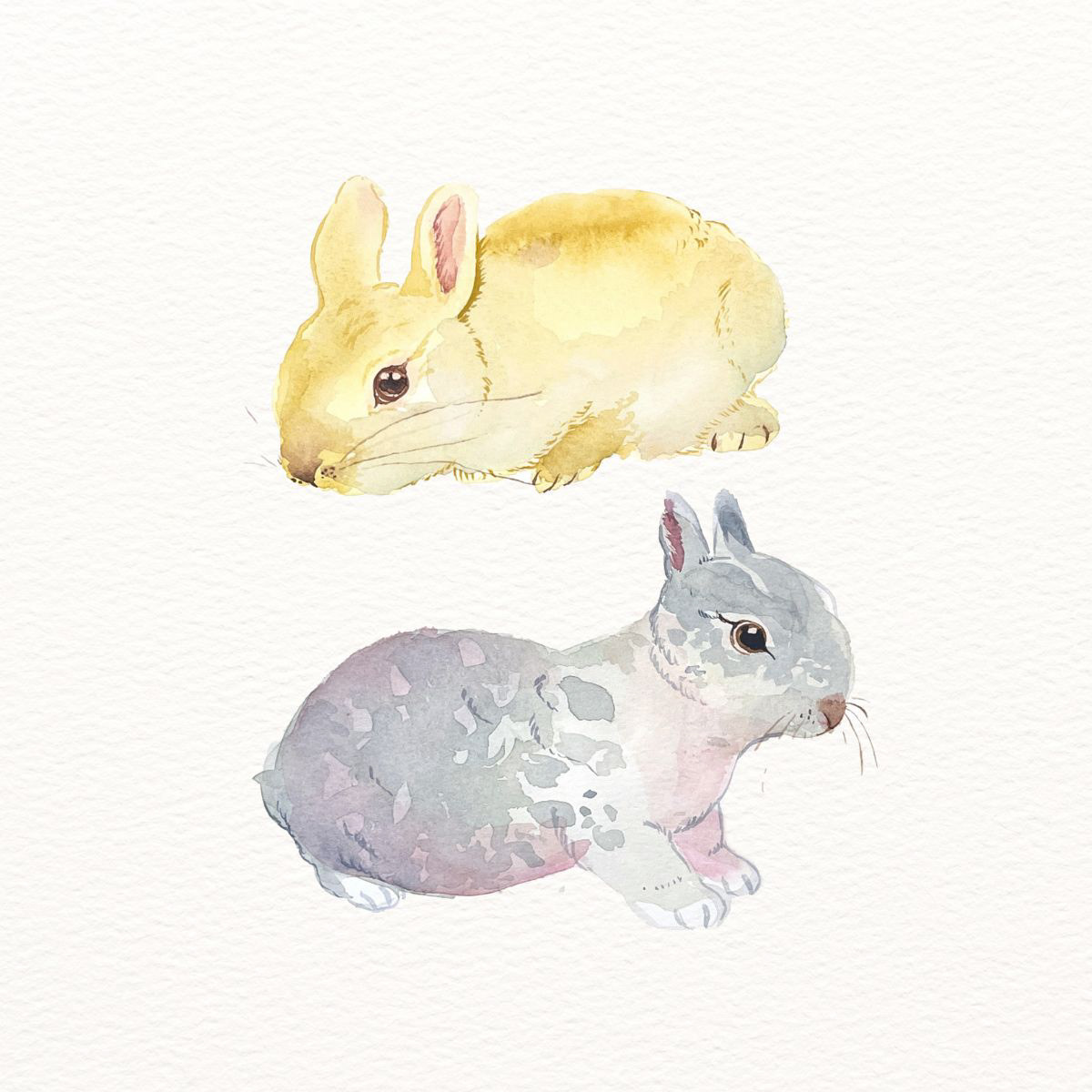 "Baby Bunnies"