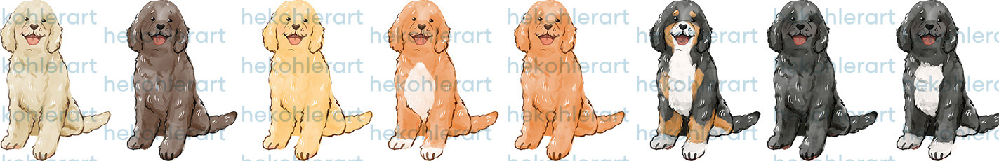 Bernedoodle/Labradoodle/Cockapoo/Goldendoodle Sitting Sideways