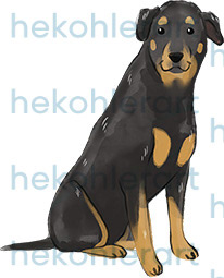 Rottweiler