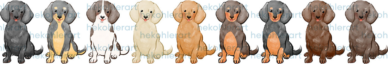 Shorthaired Dachshunds Sitting
