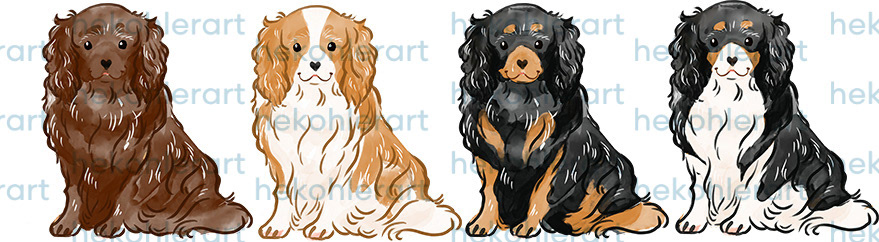 Cavalier King Charles Spaniels