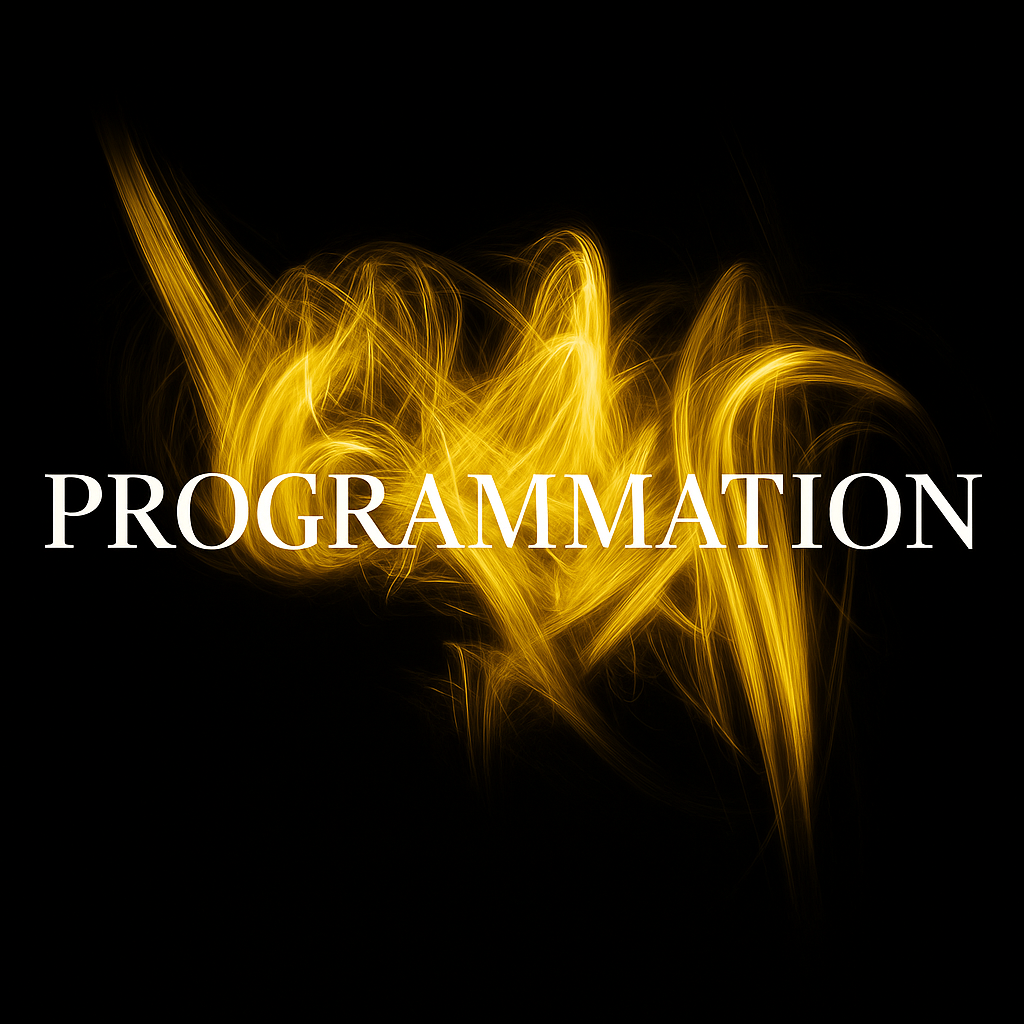 Lien menant vers ma section "programmation"