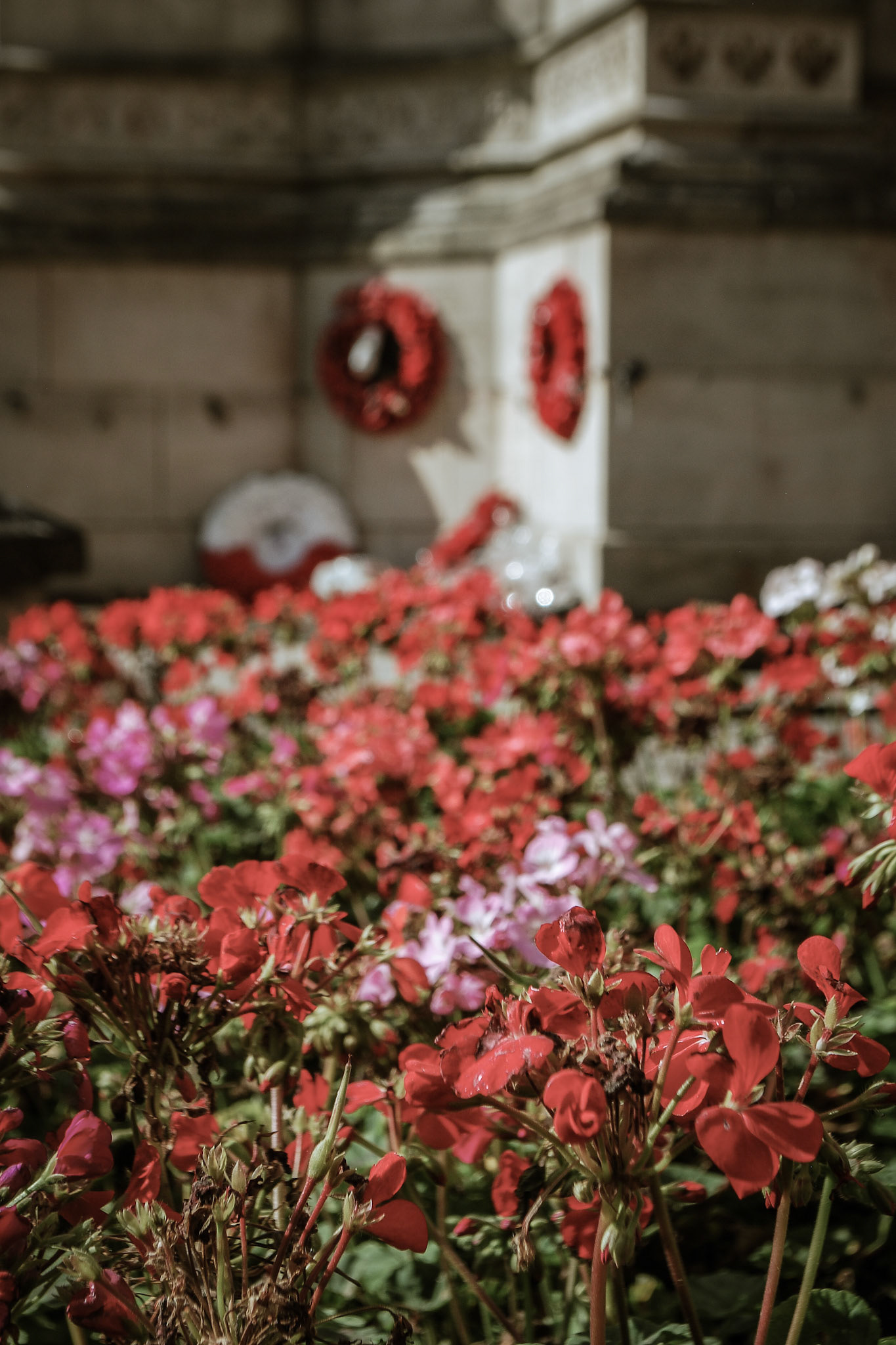 Lincoln Photo Walk - Autumn 2023