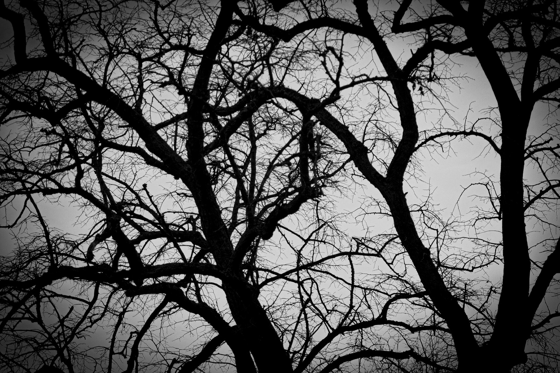 Christmas Day Lincoln Parkrun 2023