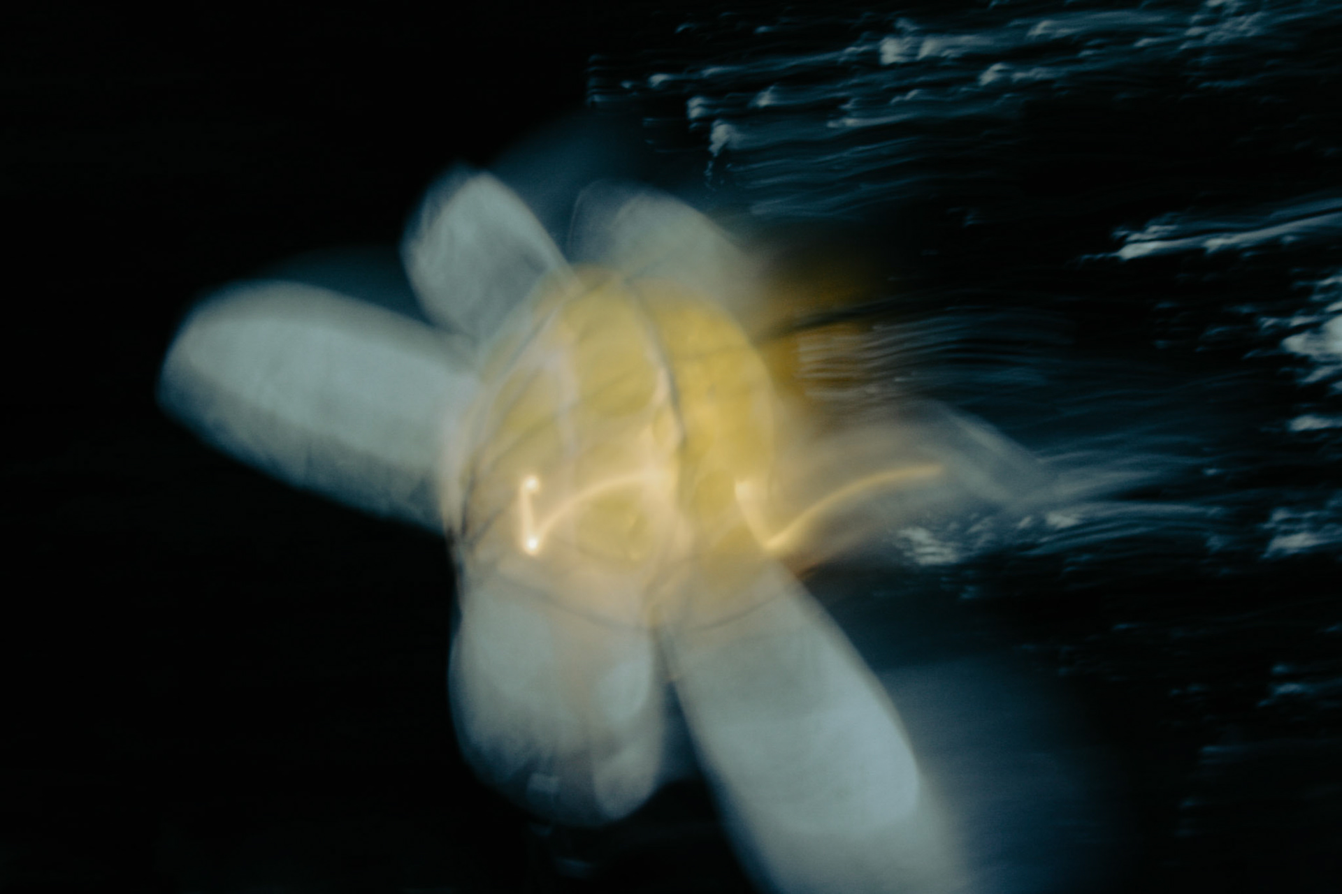 Boultham Park Light Show 23/10/21