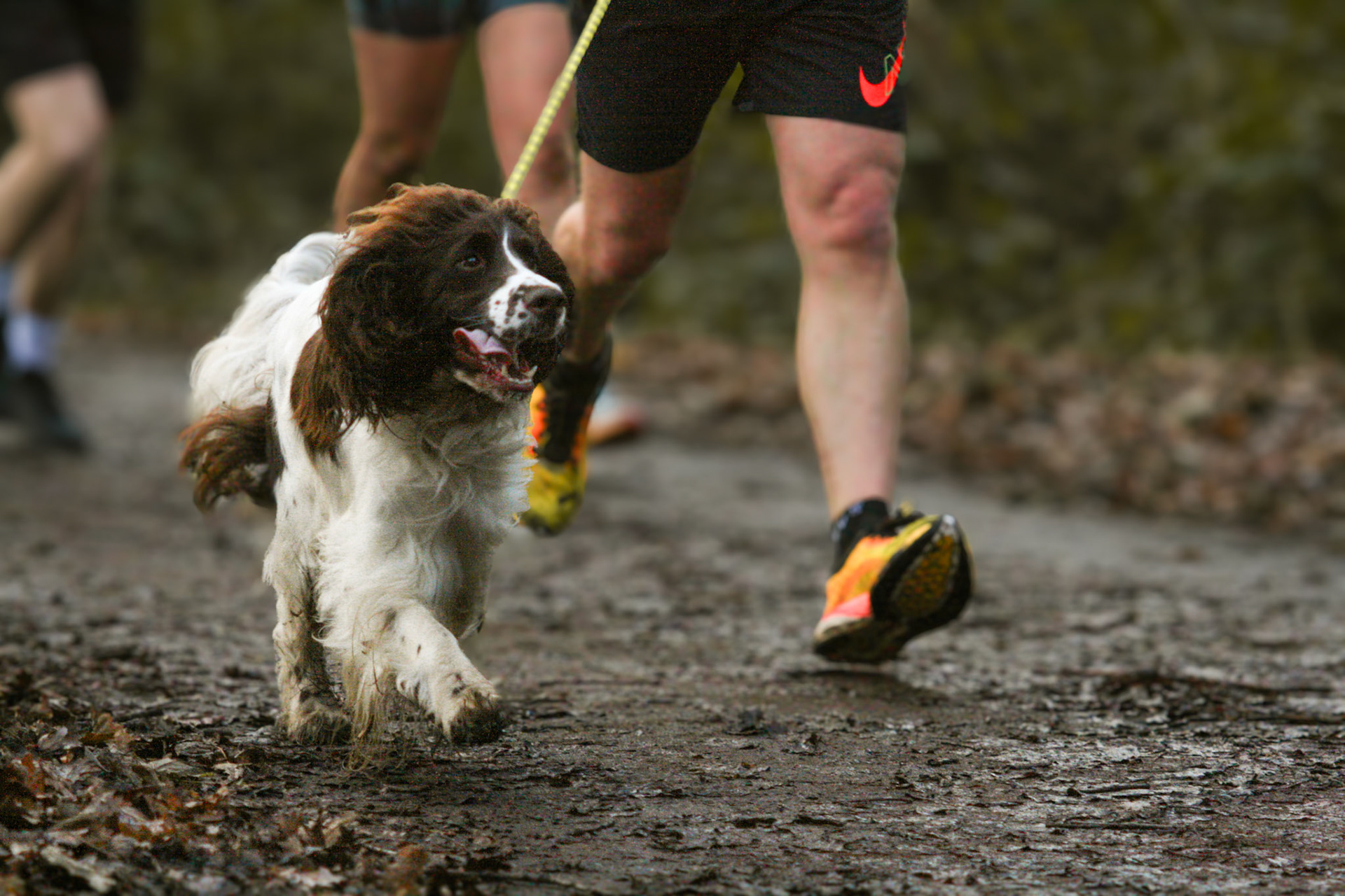 Christmas Day Lincoln Parkrun 2023