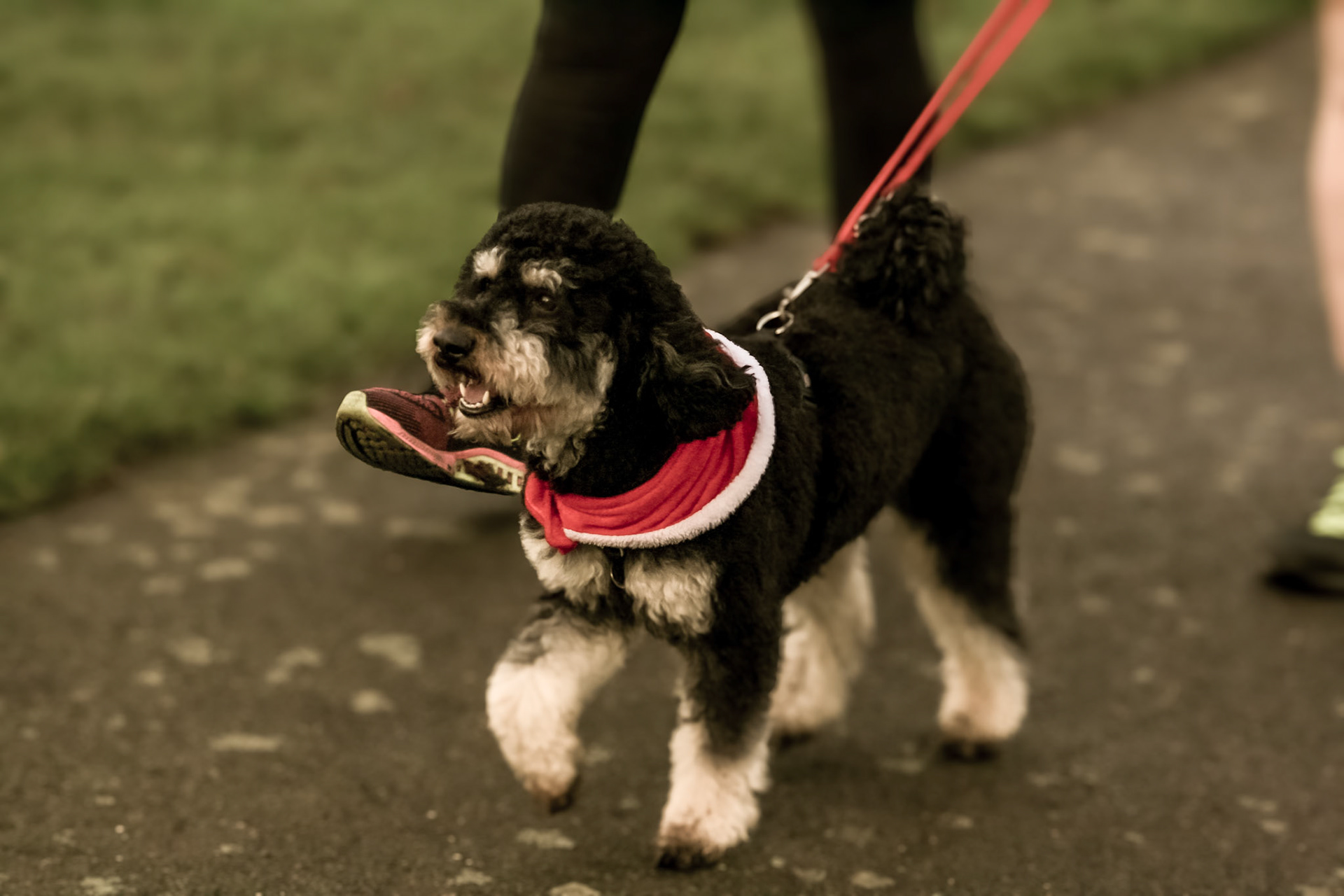 Christmas Day Lincoln Parkrun 2023