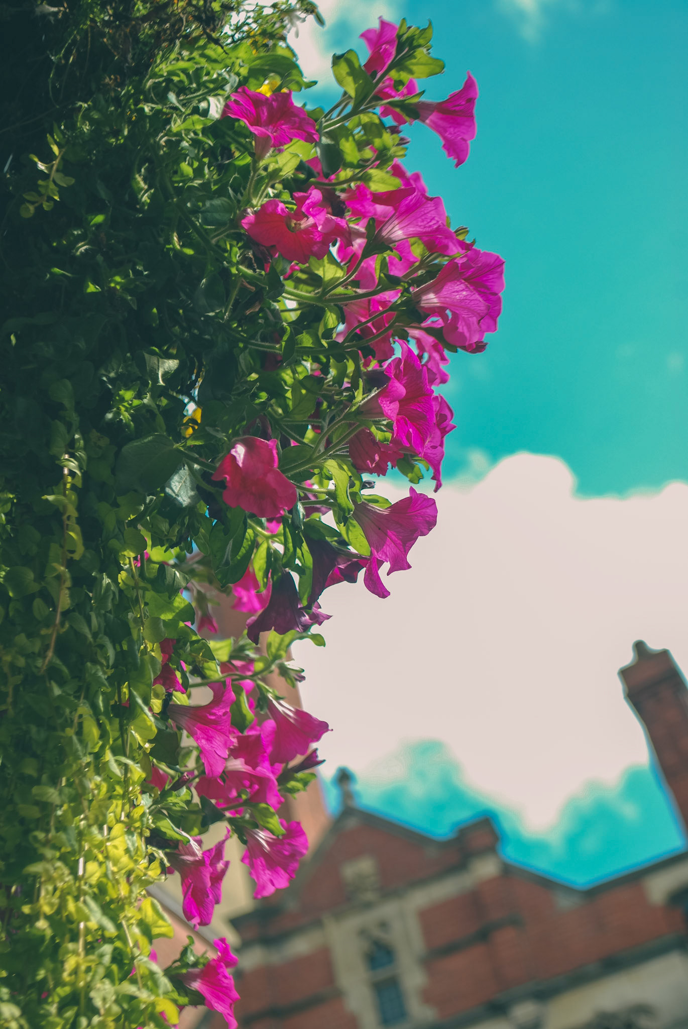 Lincoln Photo Walk - Autumn 2023