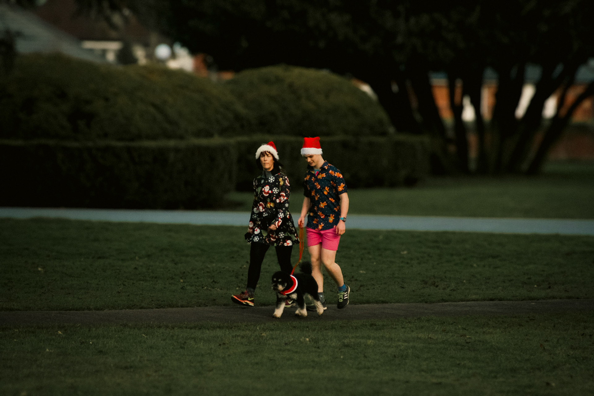Christmas Day Lincoln Parkrun 2023