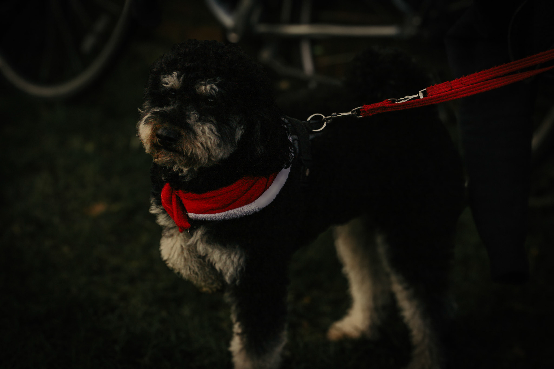 Christmas Day Lincoln Parkrun 2023