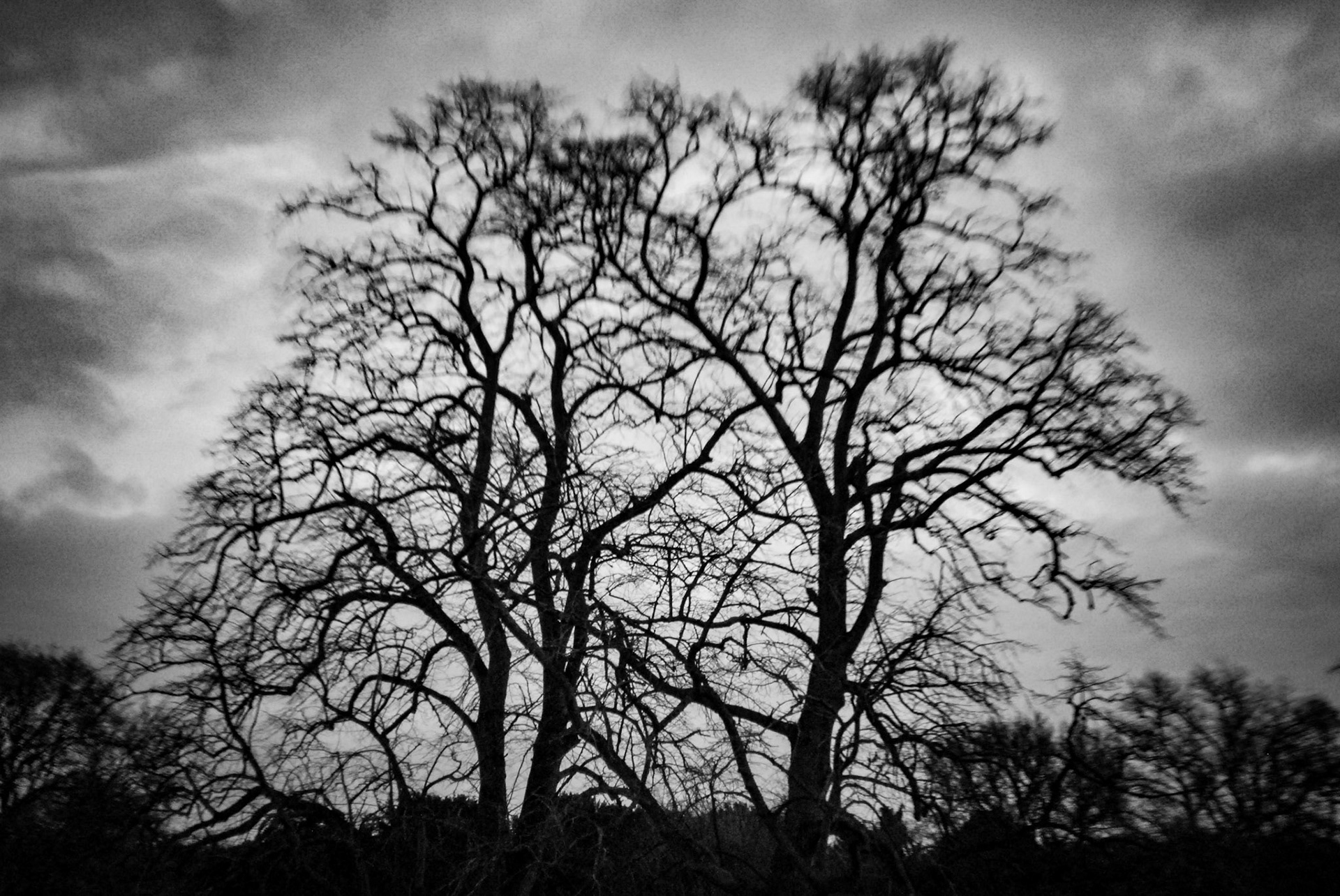 Christmas Day Lincoln Parkrun 2023