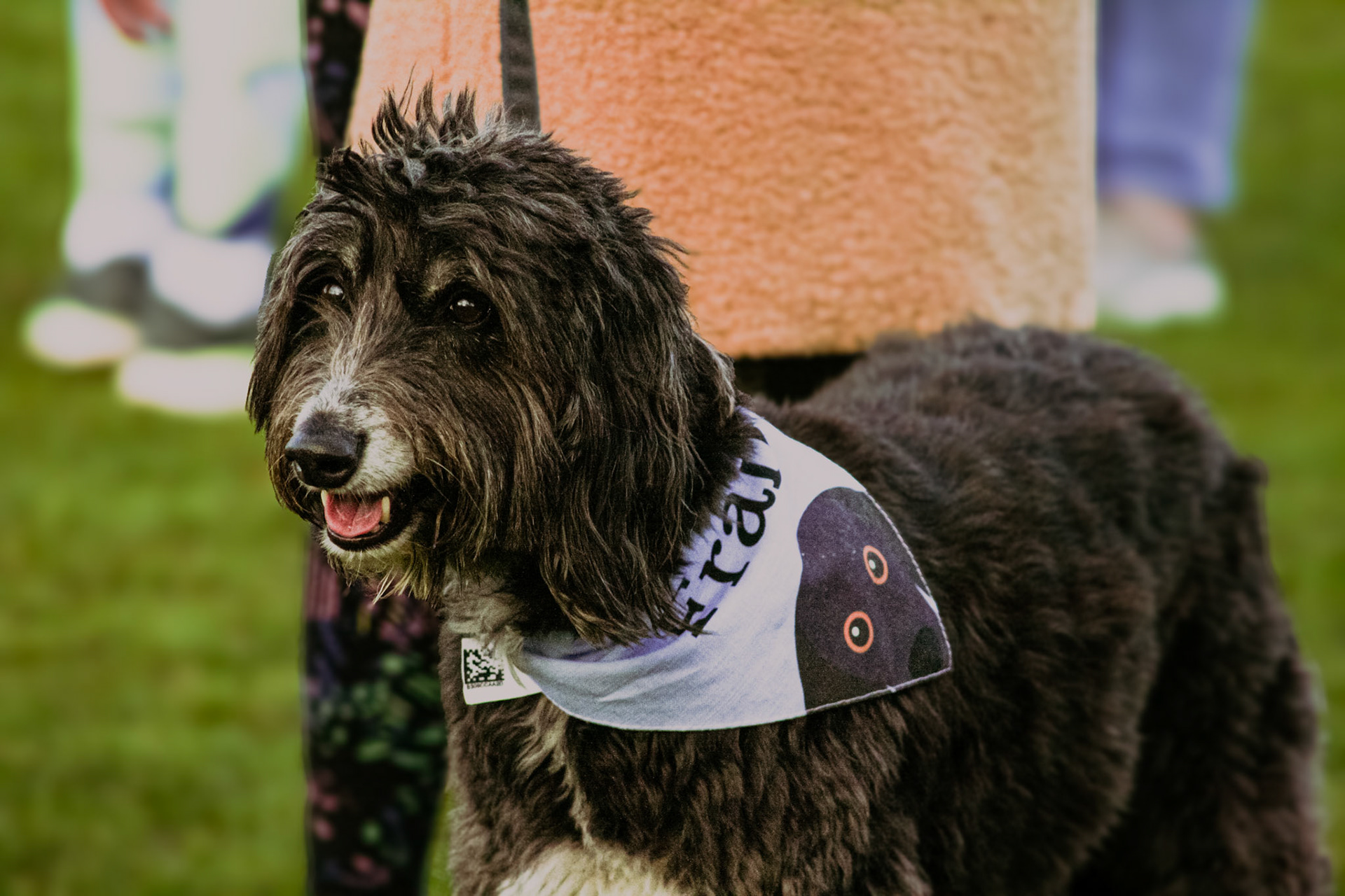 Christmas Day Lincoln Parkrun 2023