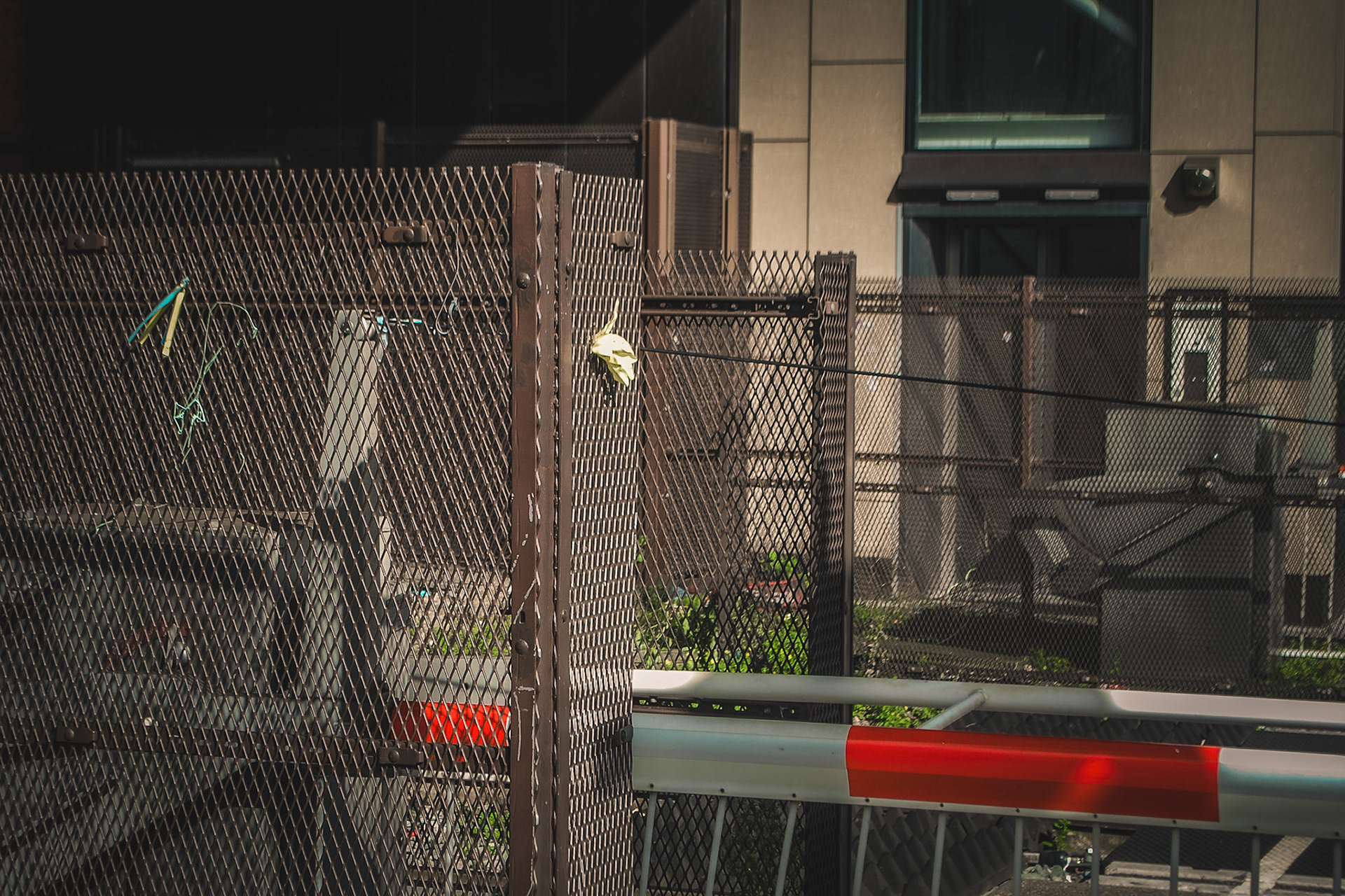 Lincoln Photo Walk - Autumn 2023