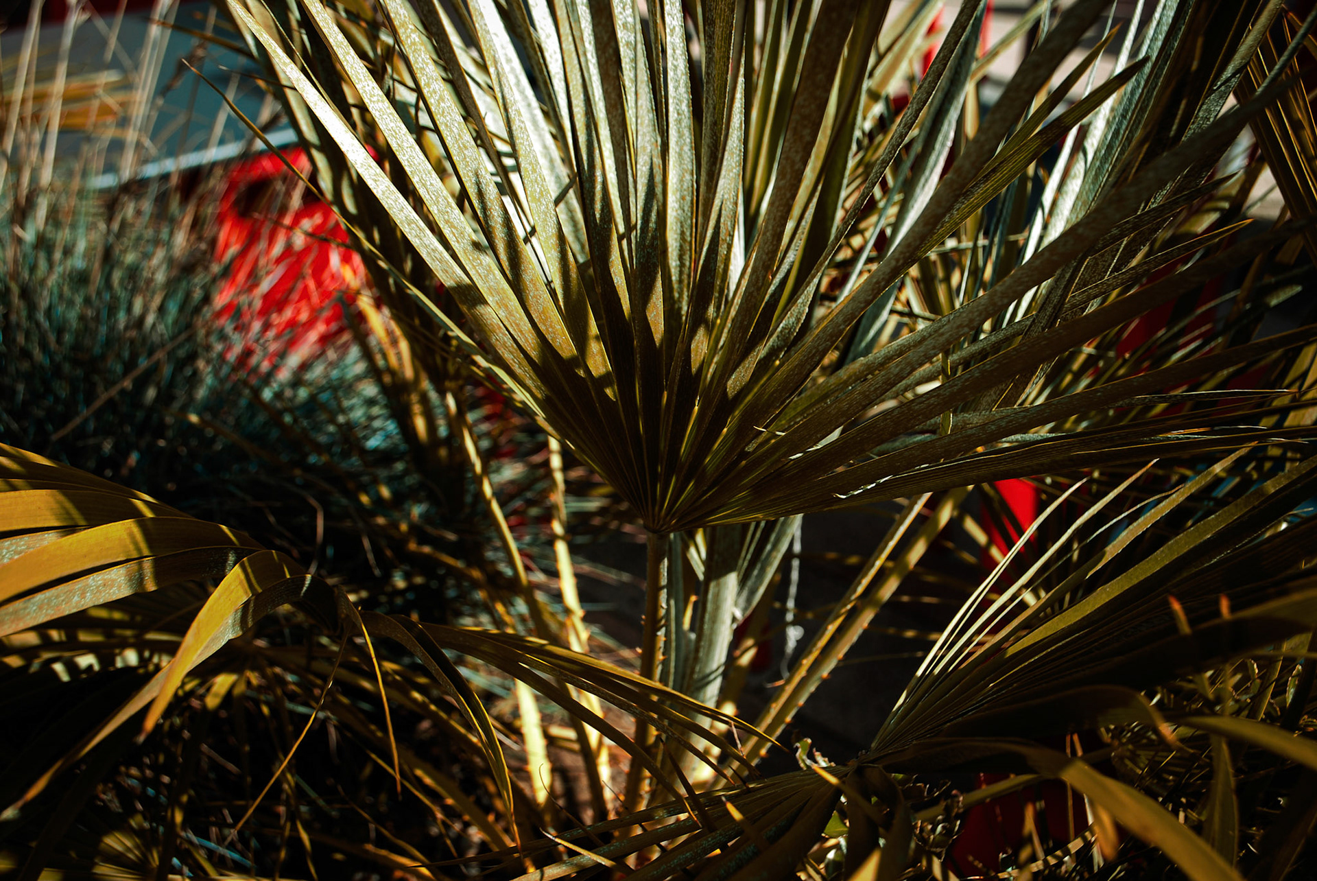 Lincoln Photo Walk - Autumn 2023