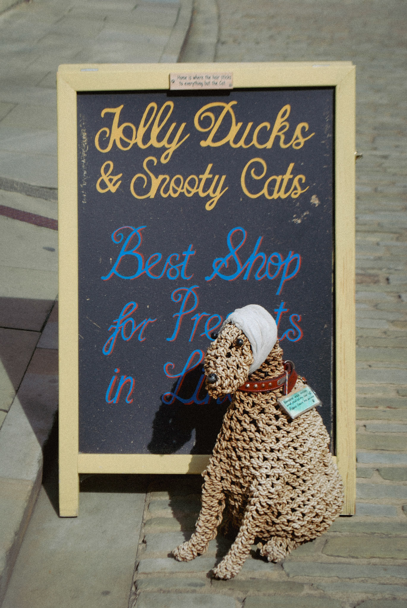 Lincoln Photo Walk - Autumn 2023