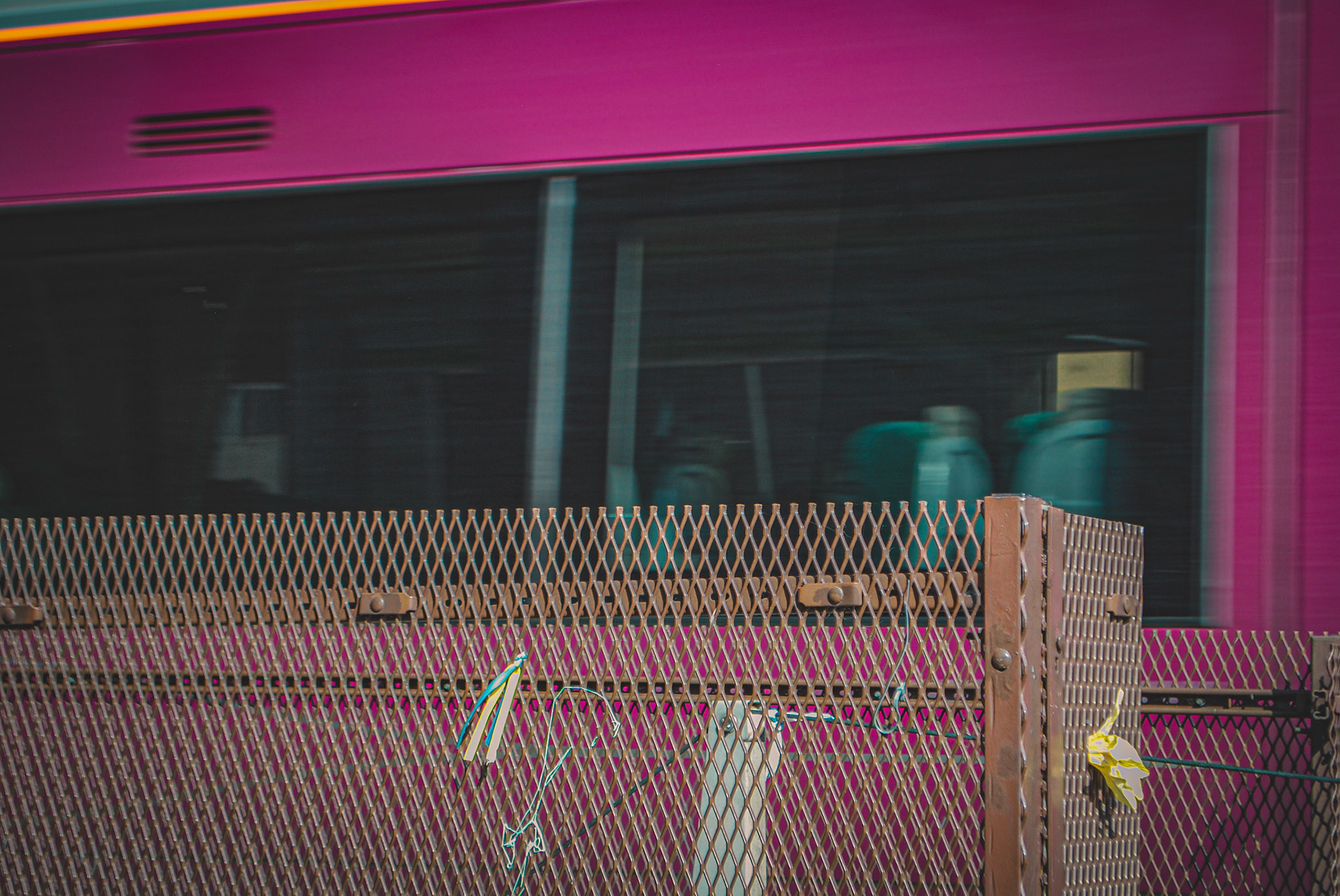 Lincoln Photo Walk - Autumn 2023