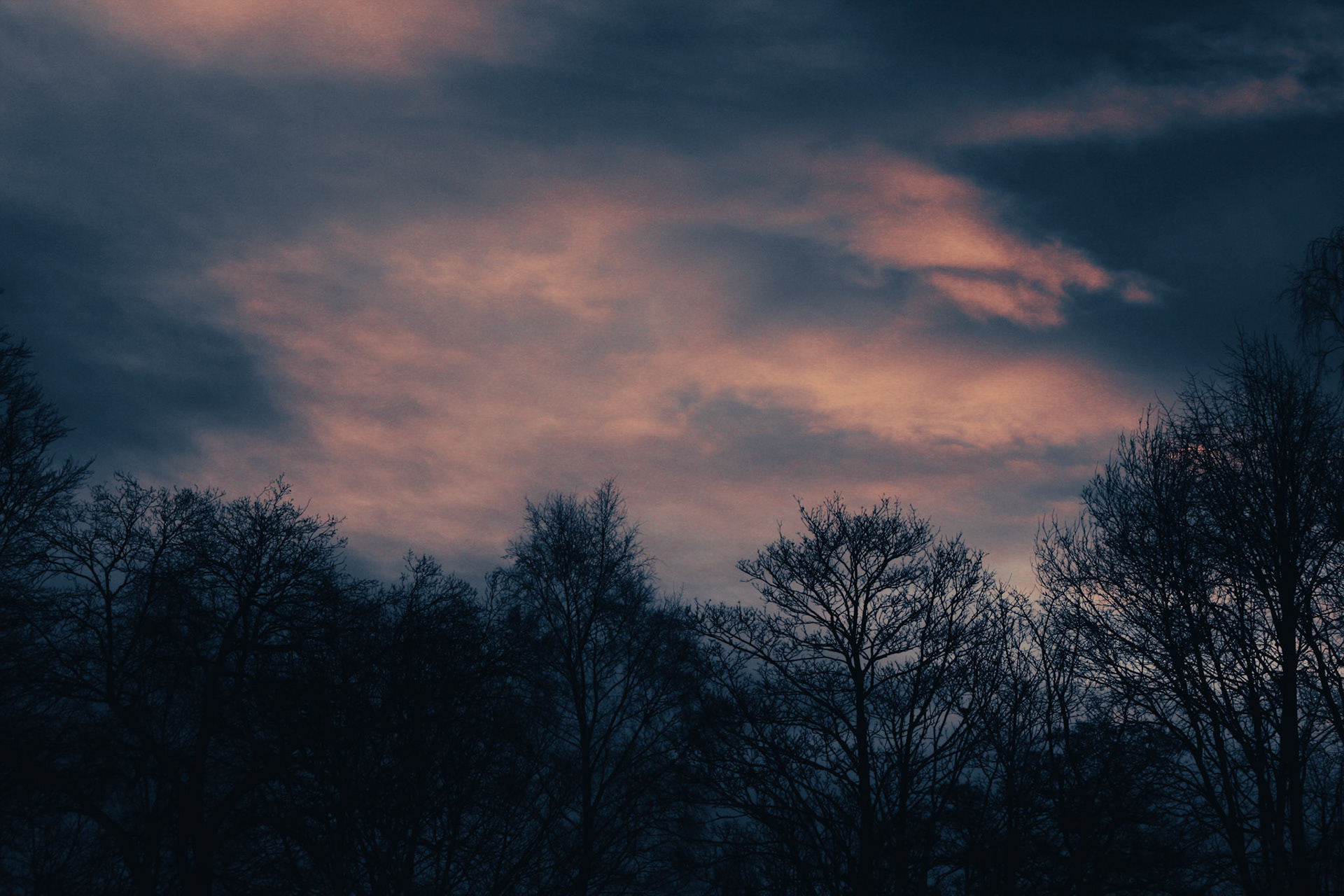 Christmas Day Lincoln Park Run 25/12/21