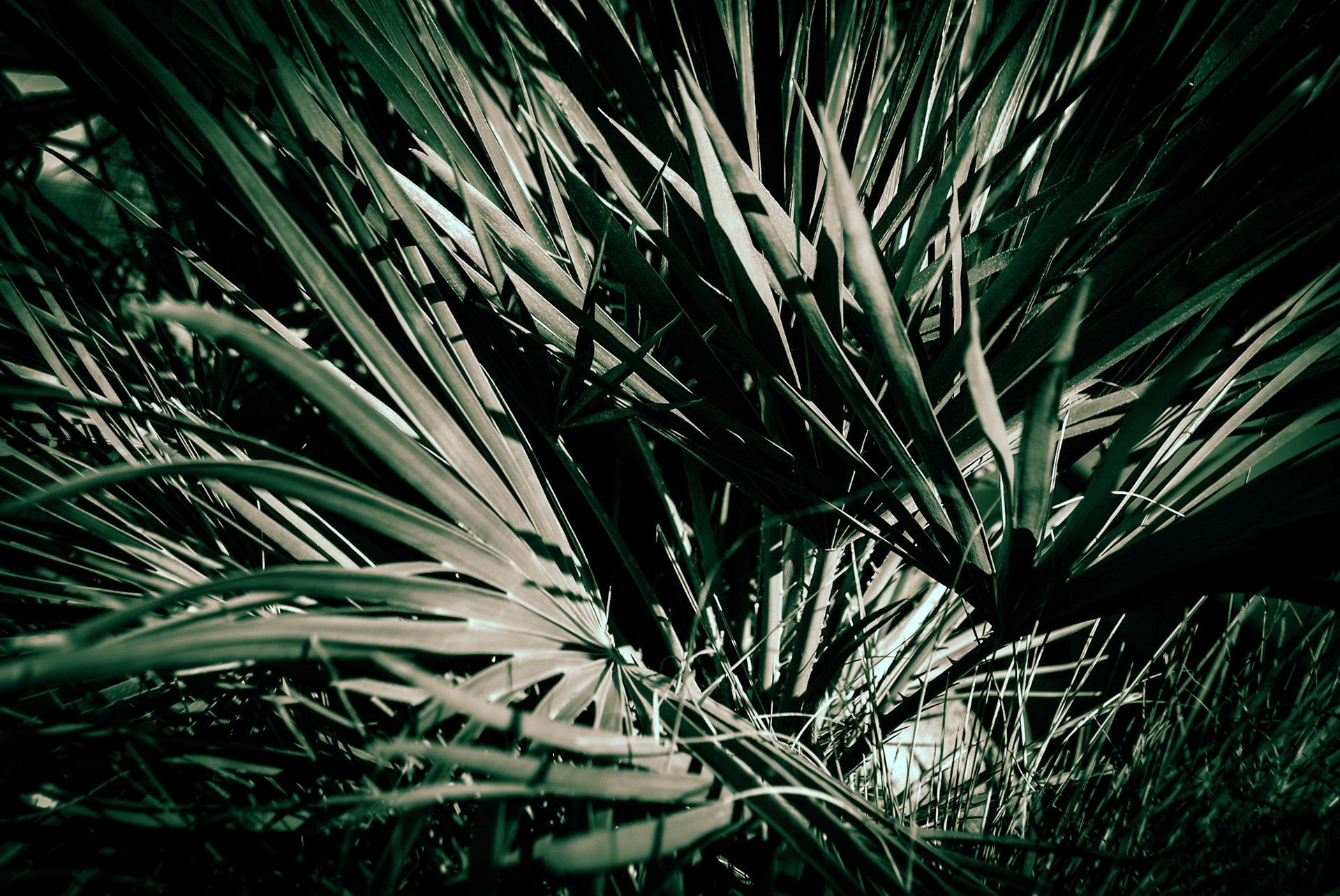 Lincoln Photo Walk - Autumn 2023