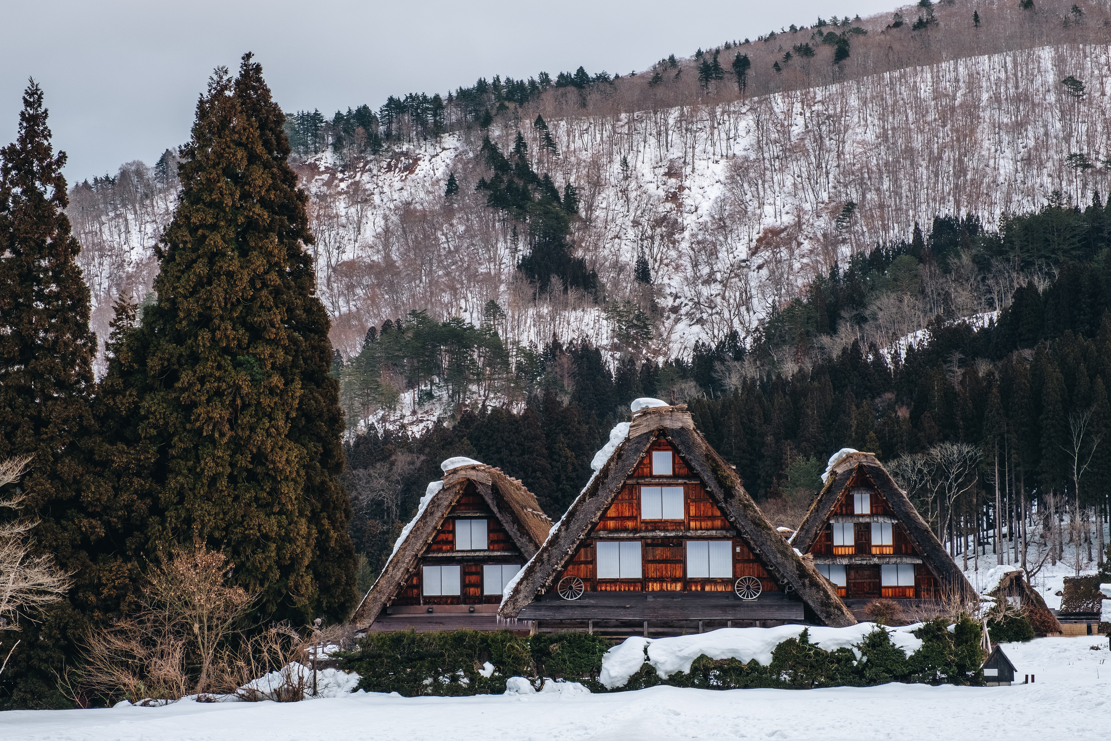 Gassho Style farmhouse | Licensed shutterstock precedence photograph credited to Nuu Jeed