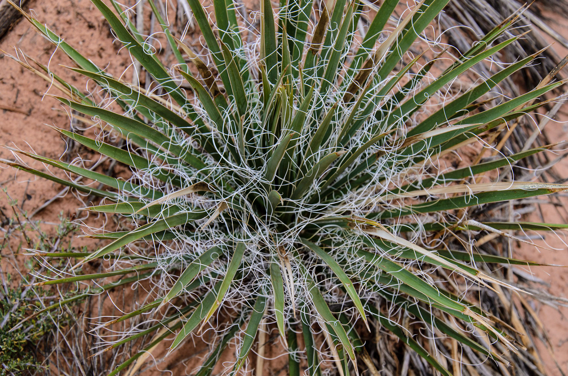 Up Close and Personal