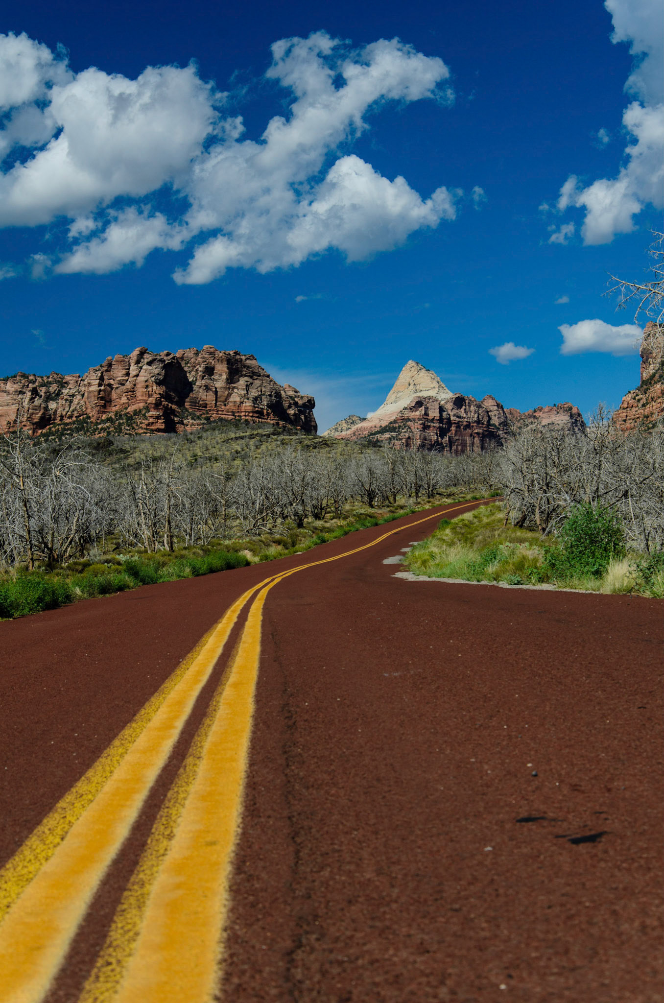 The Road to Lava Point